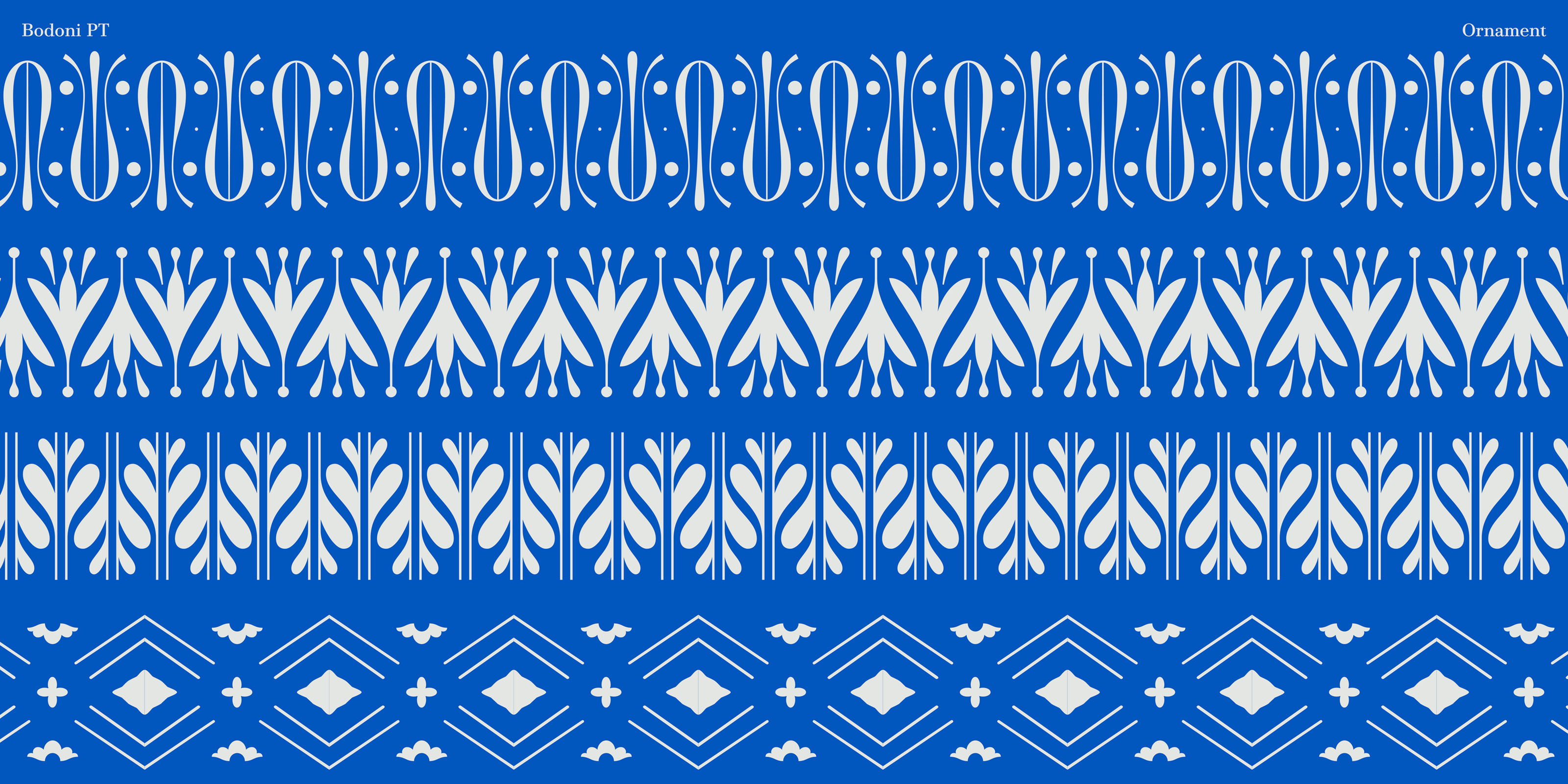 Bodoni PT Typefamily — Изображение №16 — Графика на Dprofile