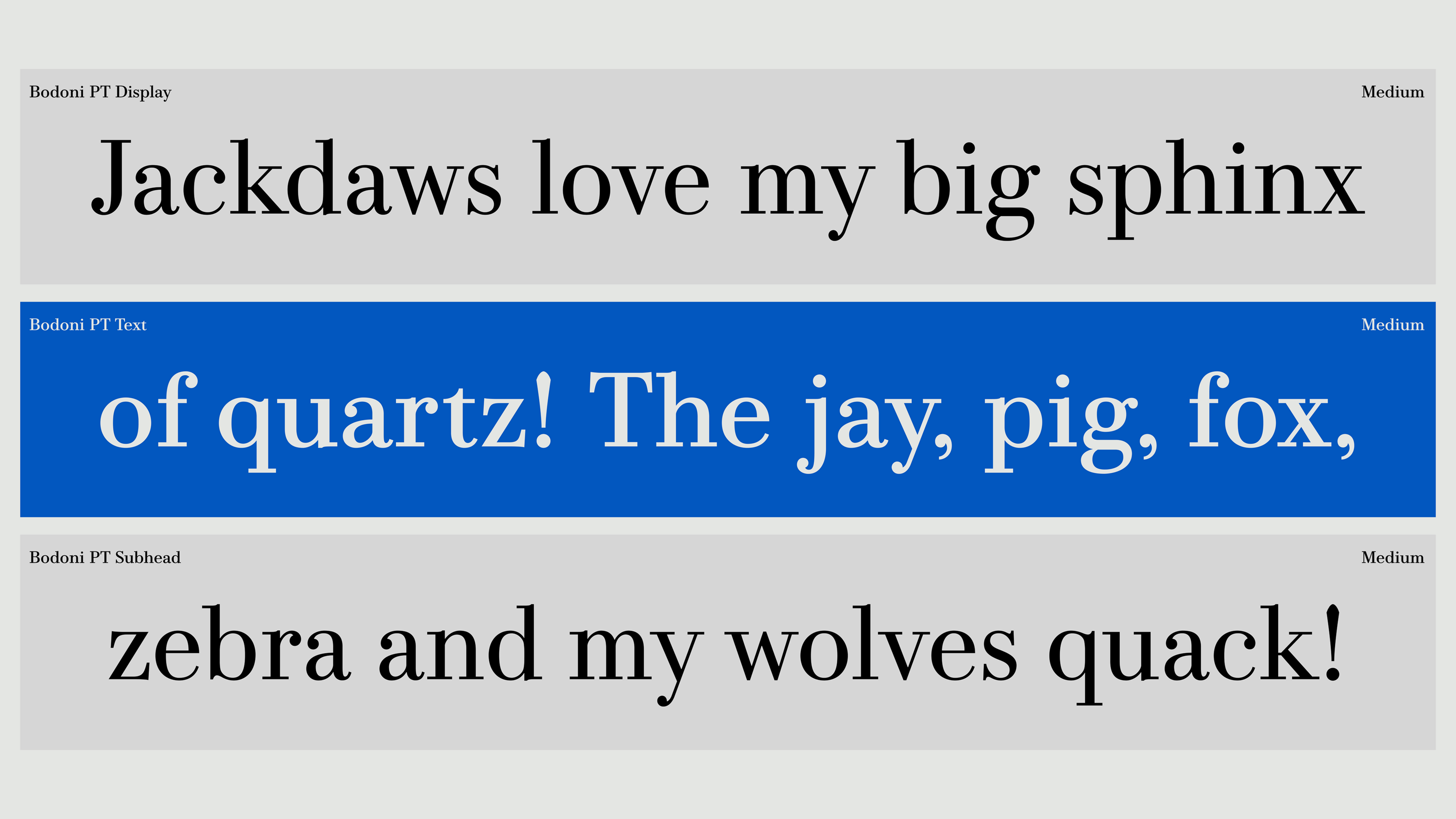 Bodoni PT Typefamily — Изображение №13 — Графика на Dprofile