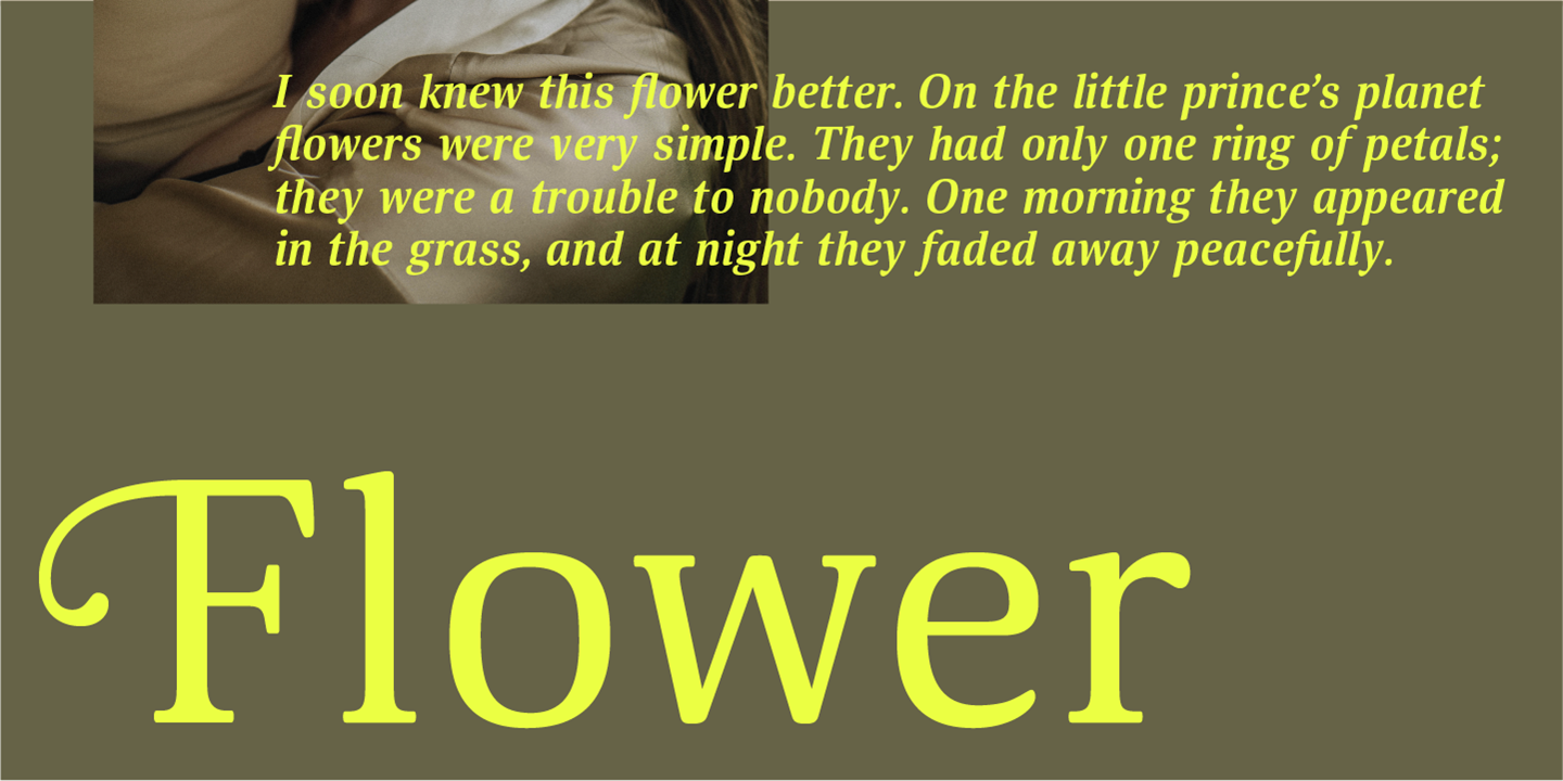 Mellow Serif — Изображение №11 — Графика на Dprofile