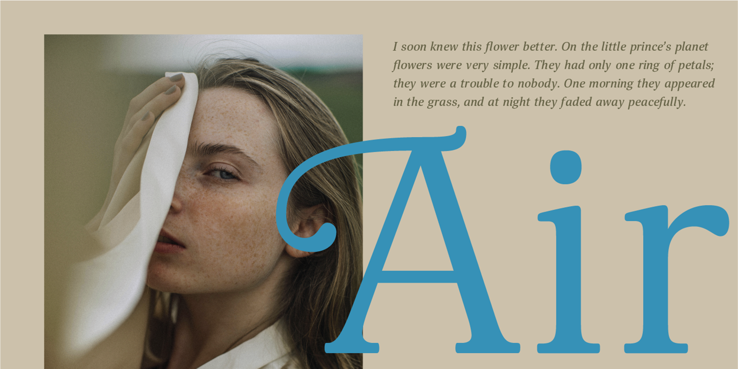 Mellow Serif — Изображение №10 — Графика на Dprofile