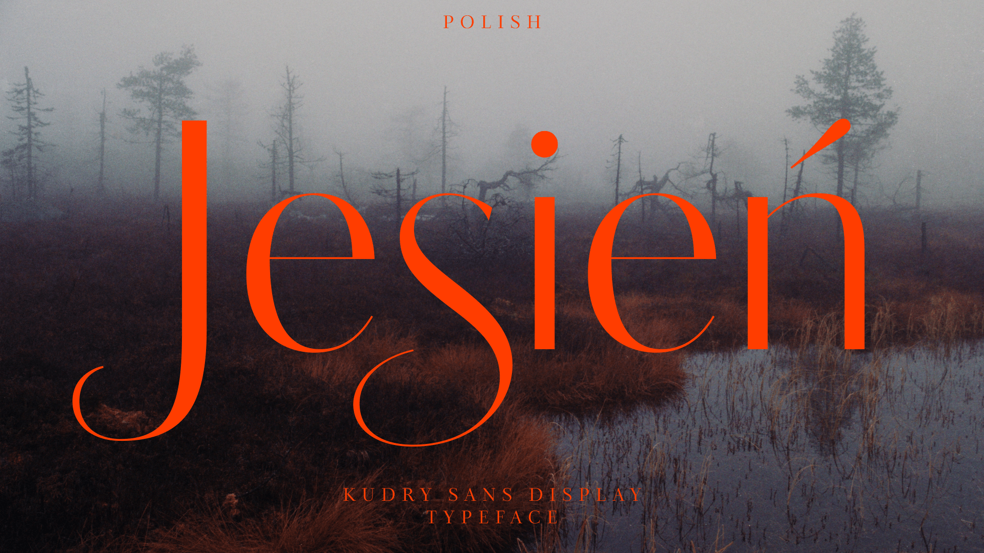 Kudry Typeface — Изображение №6 — Графика на Dprofile