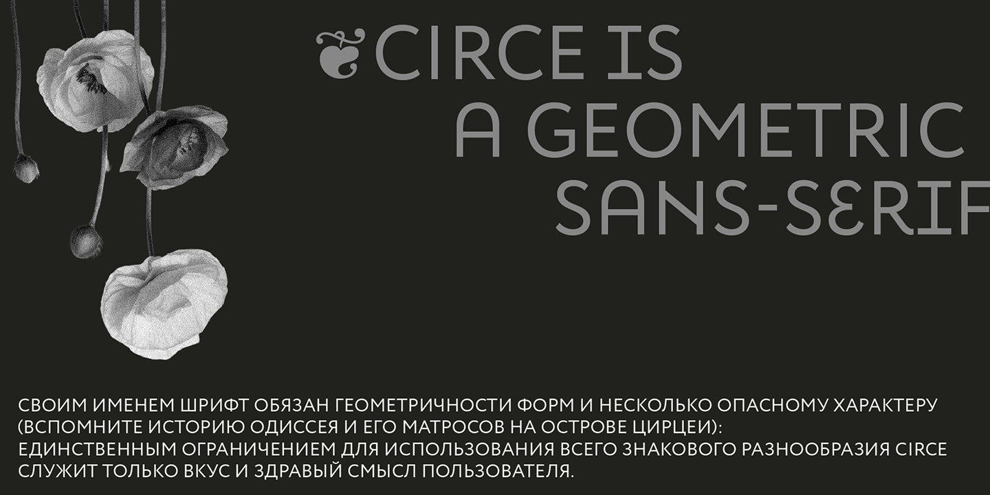 Circe Typeface — Изображение №4 — Графика на Dprofile