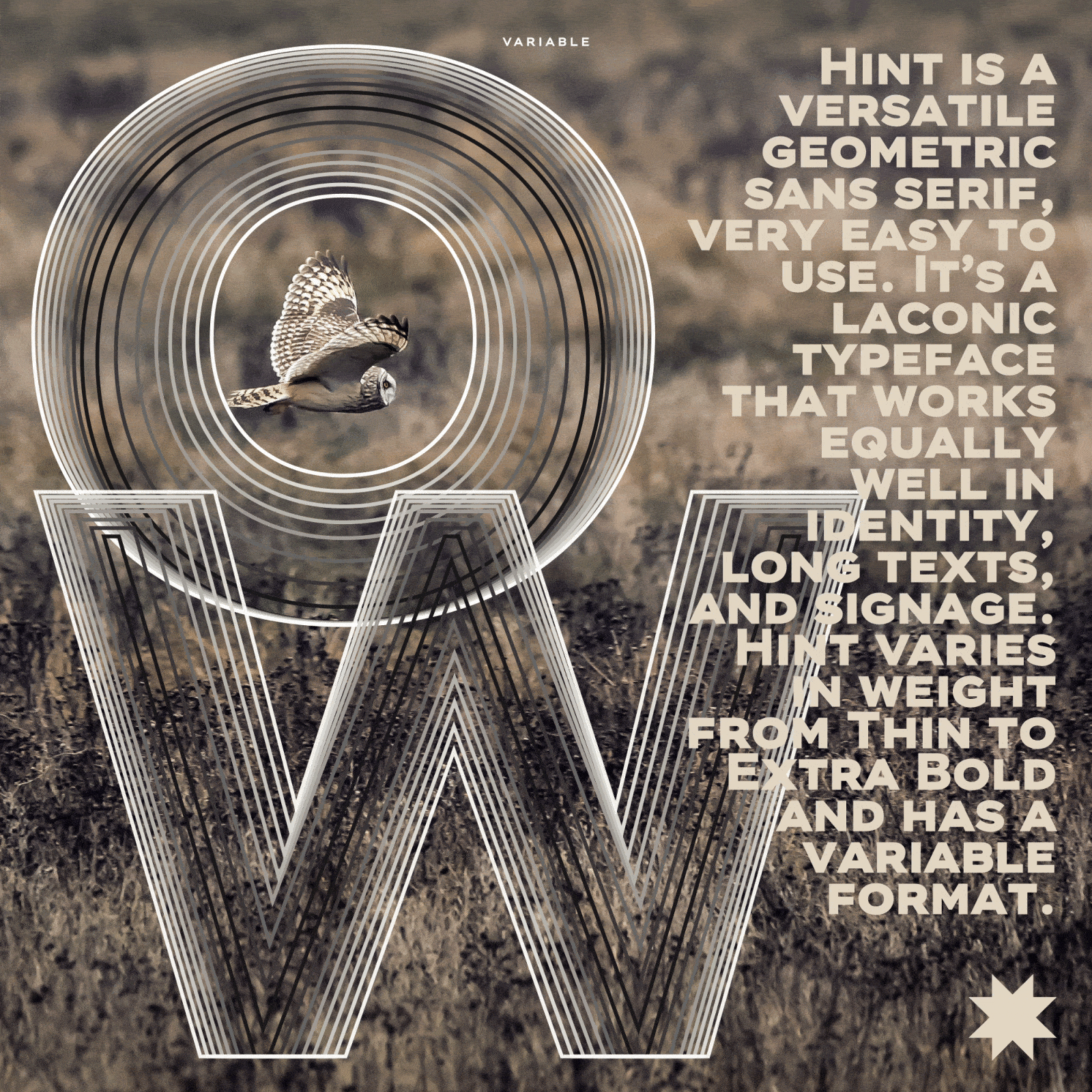 Hint Typeface — Изображение №25 — Графика на Dprofile