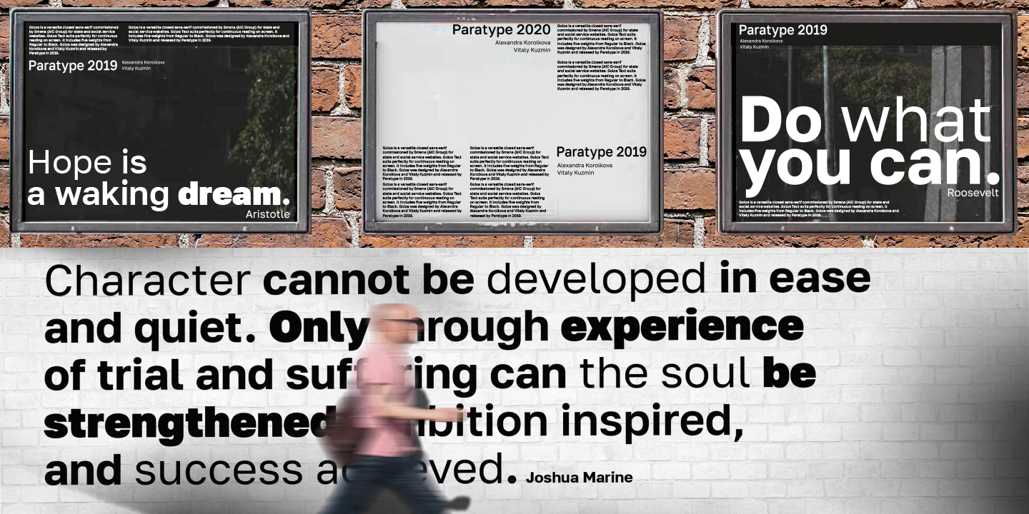 Golos Text & Golos UI Typefamily — Изображение №5 — Графика на Dprofile