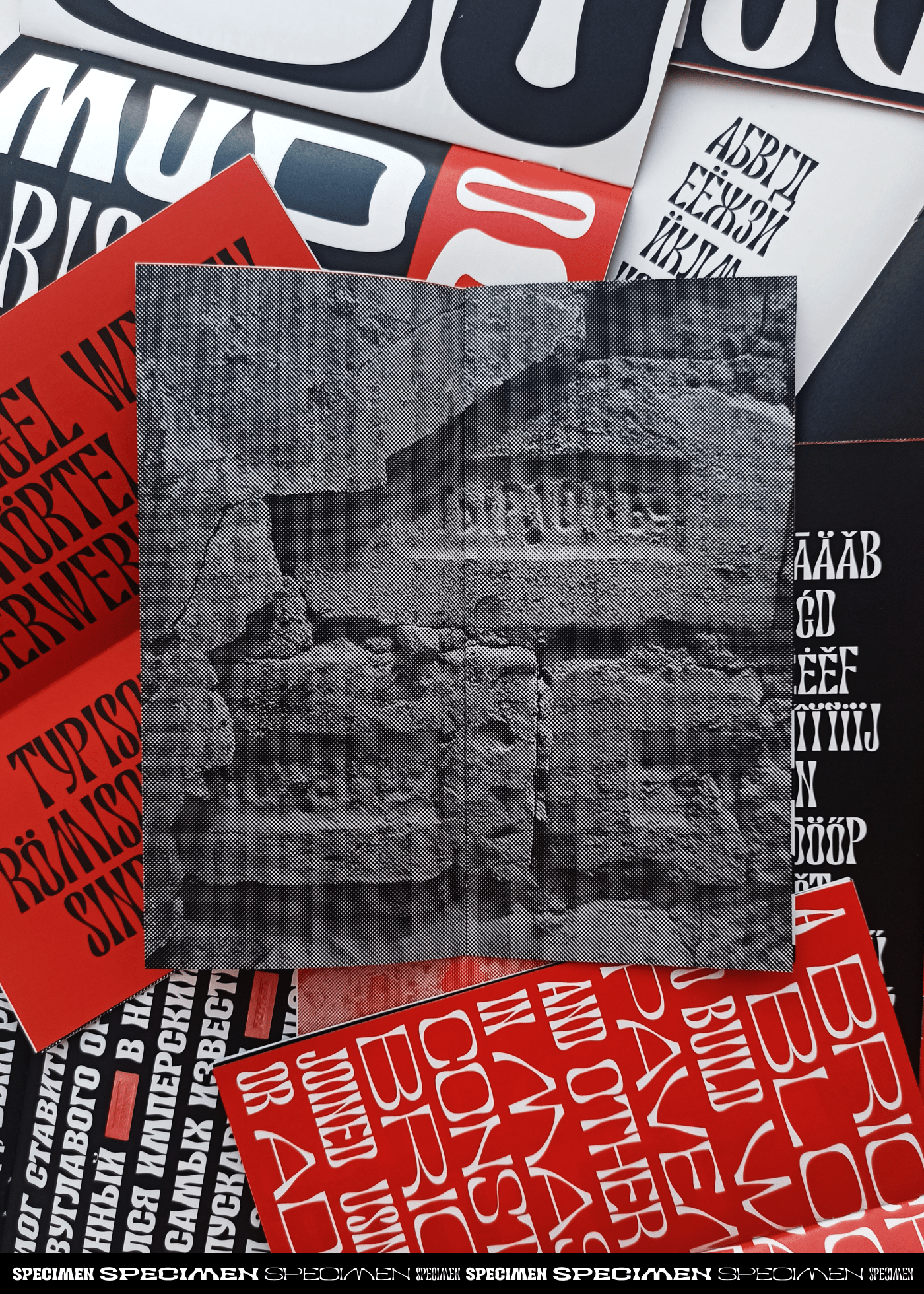 RoyalBrick Specimen — Изображение №4 — Графика на Dprofile