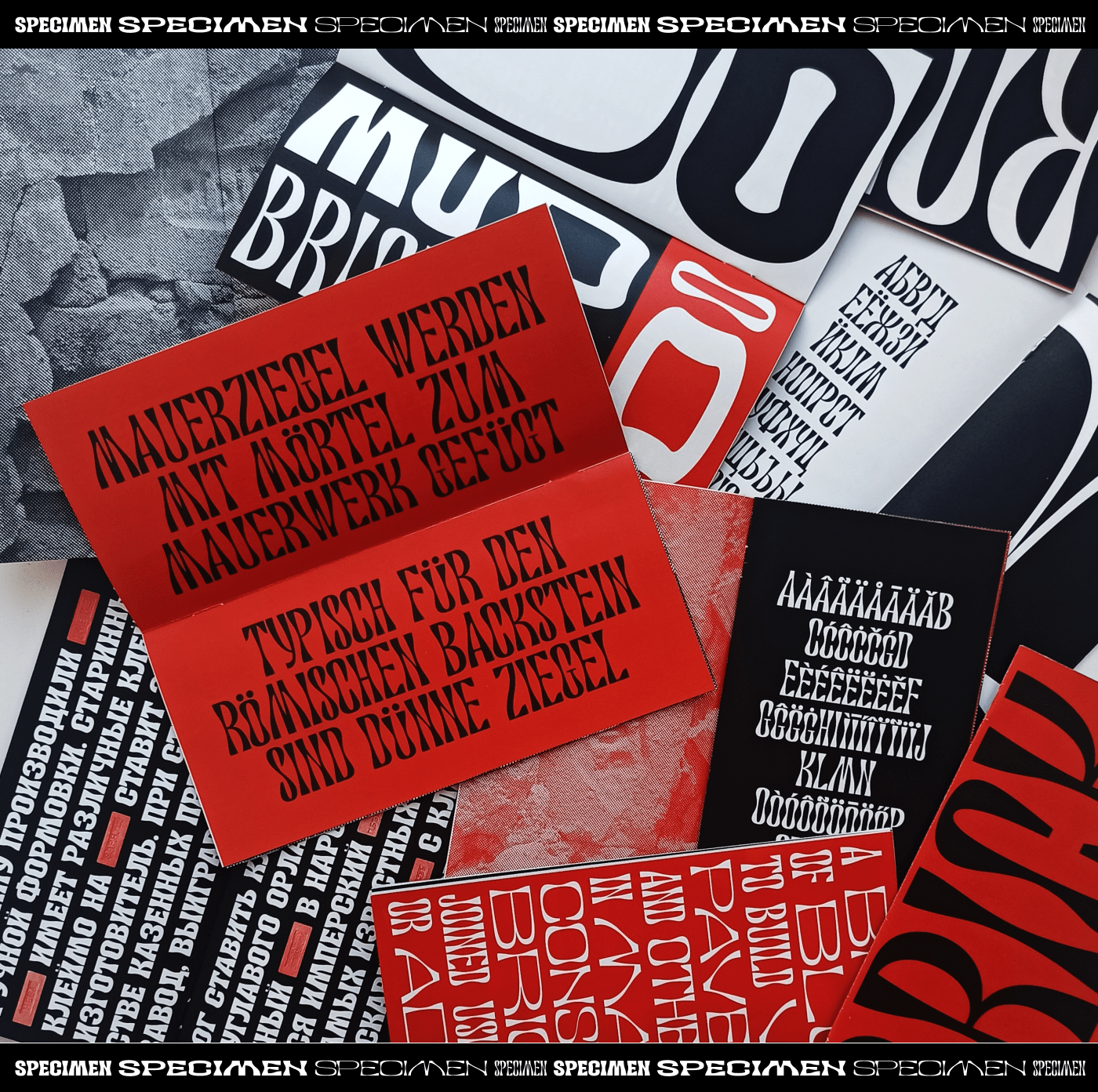 RoyalBrick Specimen — Изображение №9 — Графика на Dprofile