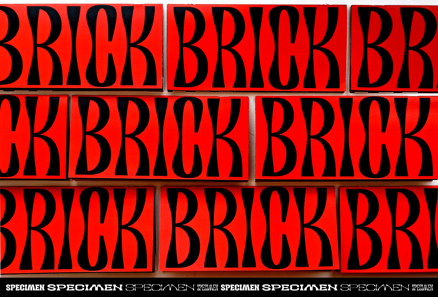 RoyalBrick Specimen — Изображение №1 — Графика на Dprofile