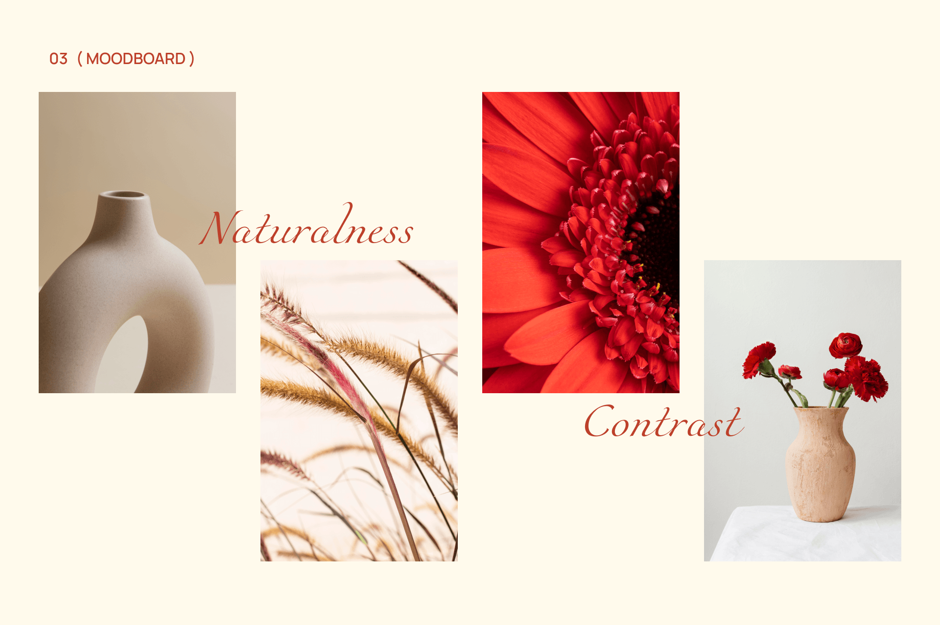 FLORA&CO — Изображение №4 — Интерфейсы на Dprofile