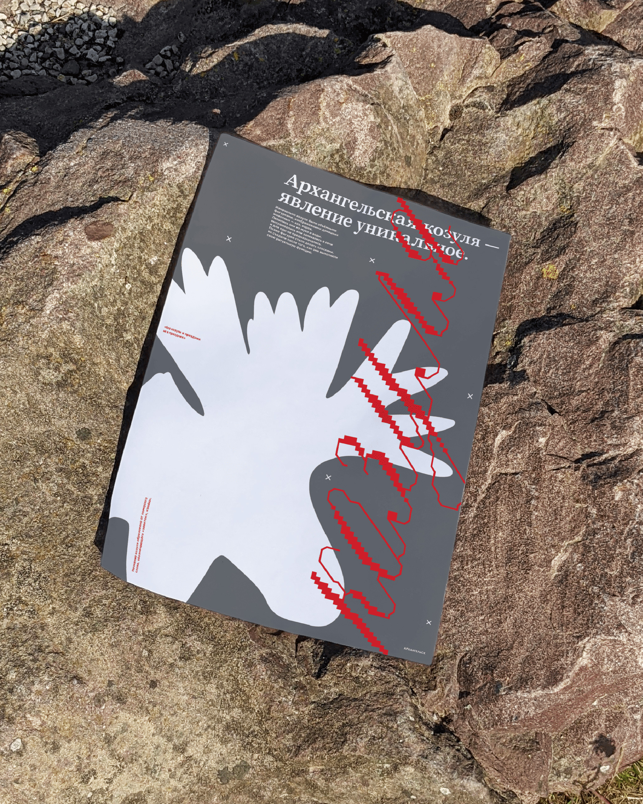 Плакаты «Архангельск» — Изображение №4 — Графика на Dprofile