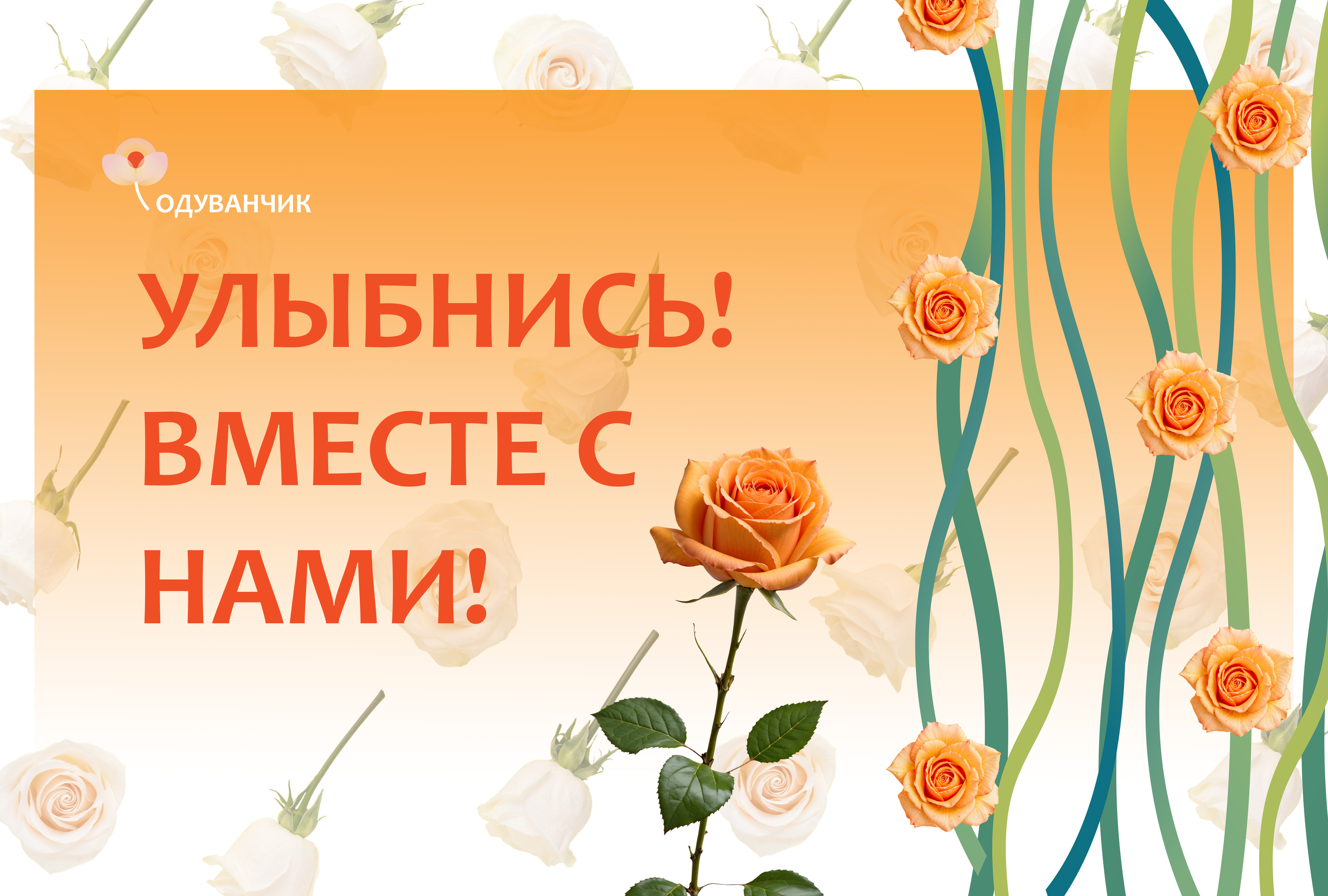 ОДУВАНЧИК-Цветочный магазин — Изображение №4 — Брендинг на Dprofile