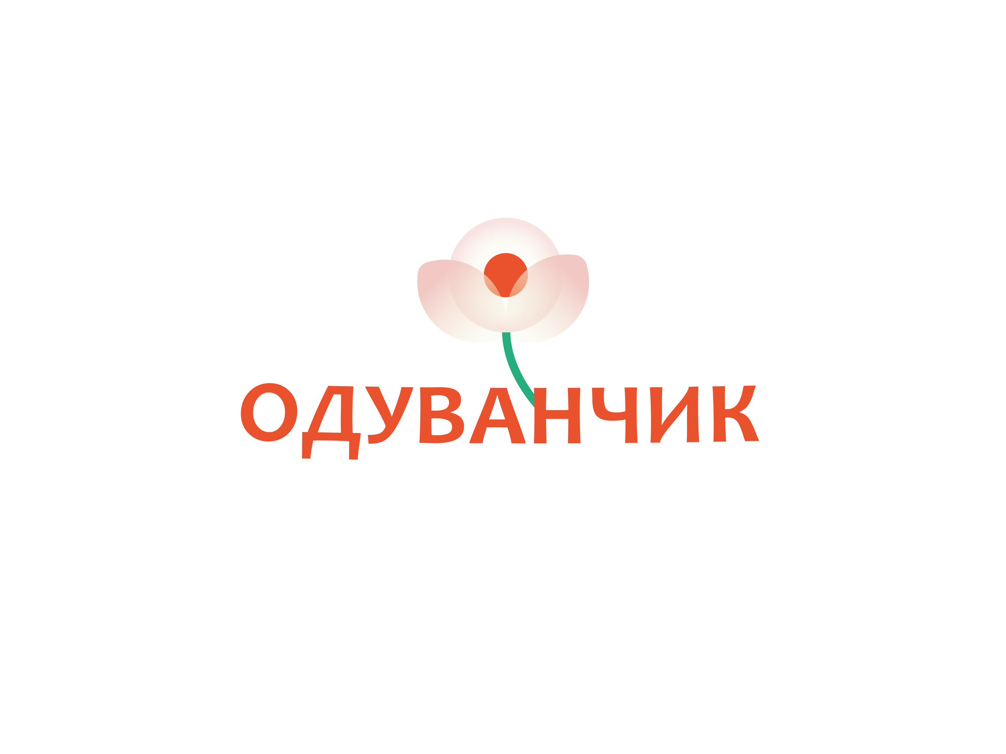ОДУВАНЧИК-Цветочный магазин — Изображение №1 — Брендинг на Dprofile