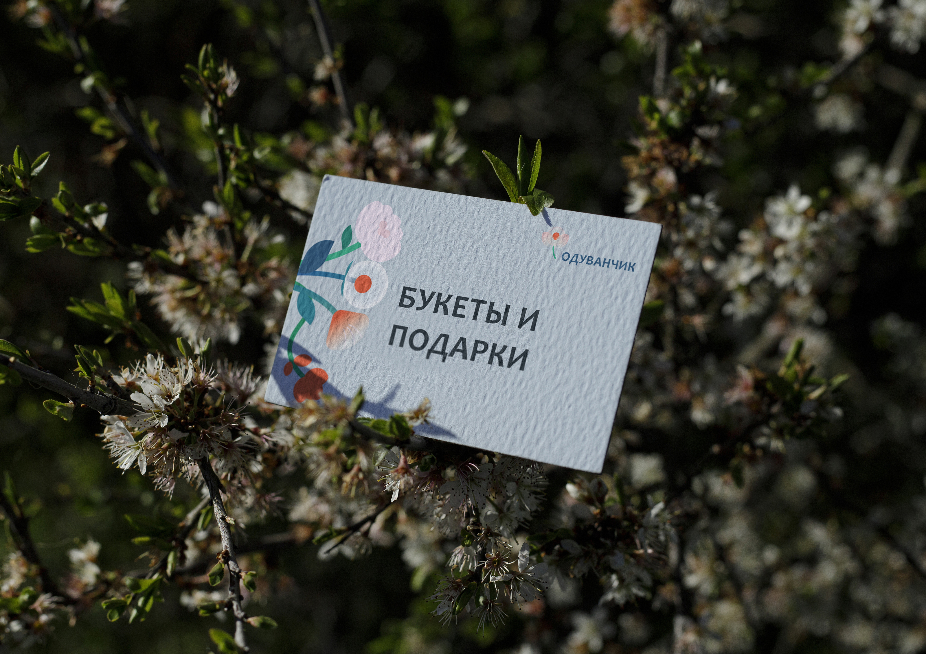 ОДУВАНЧИК-Цветочный магазин — Изображение №10 — Брендинг на Dprofile