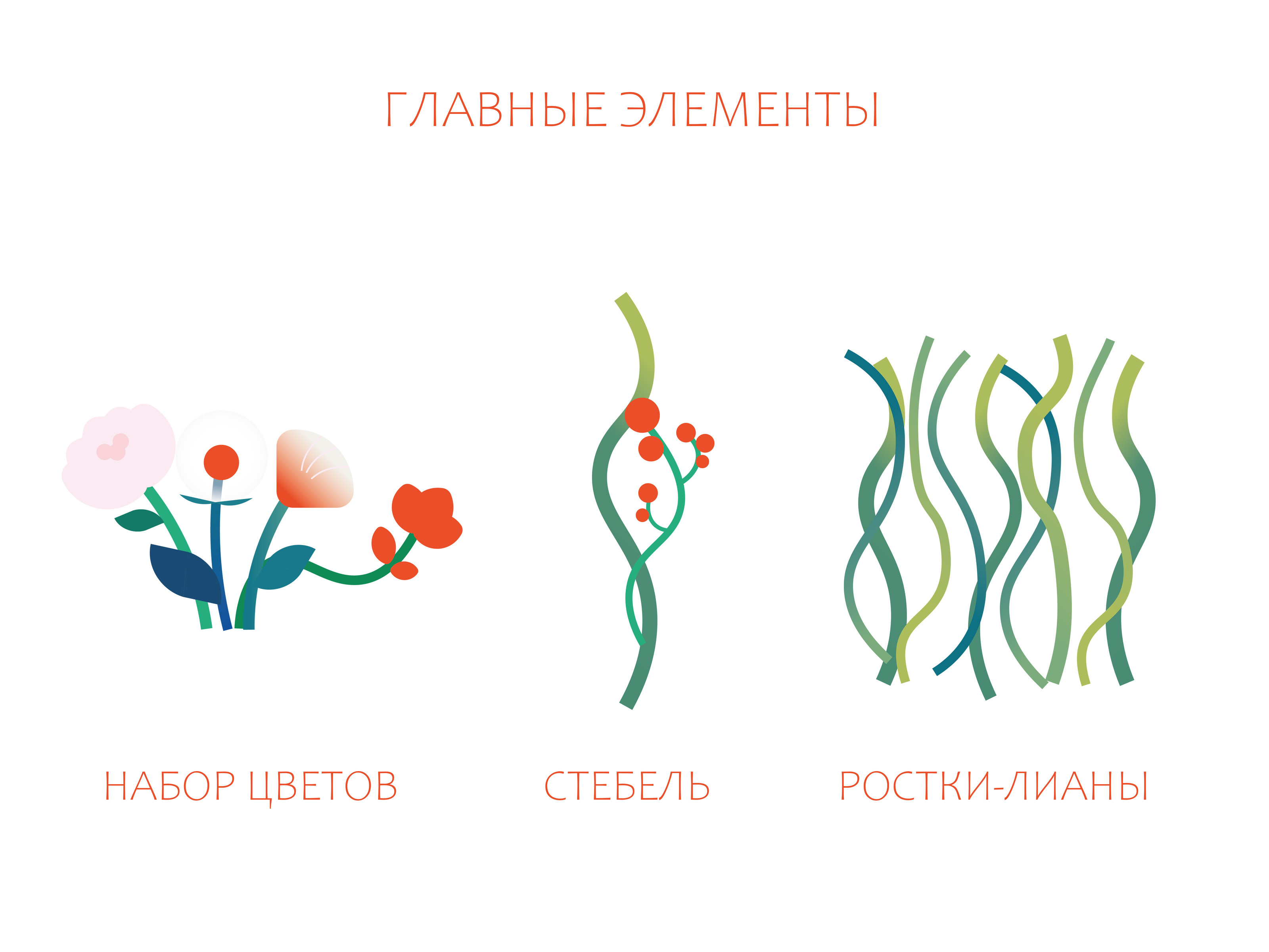 ОДУВАНЧИК-Цветочный магазин — Изображение №9 — Брендинг на Dprofile