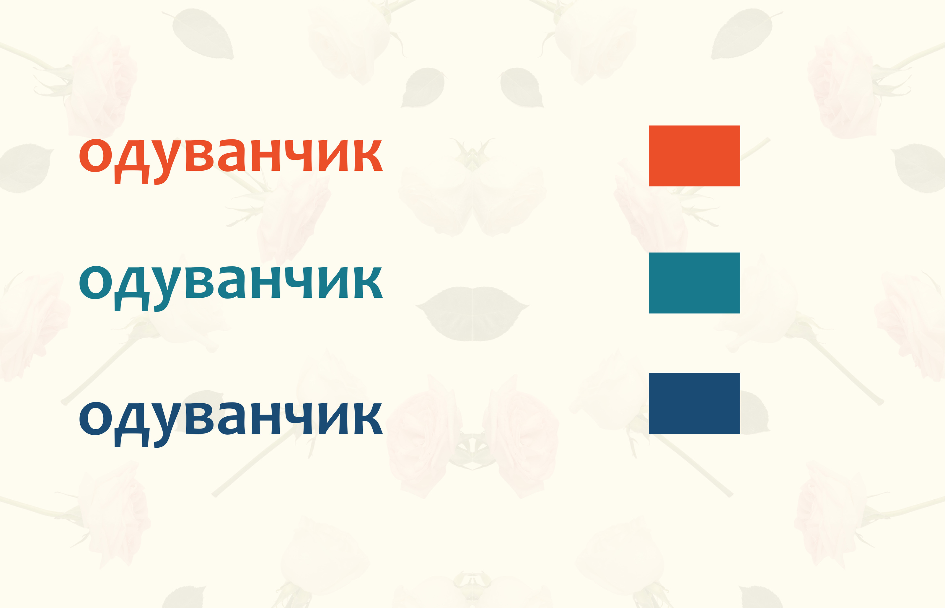 ОДУВАНЧИК-Цветочный магазин — Изображение №5 — Брендинг на Dprofile