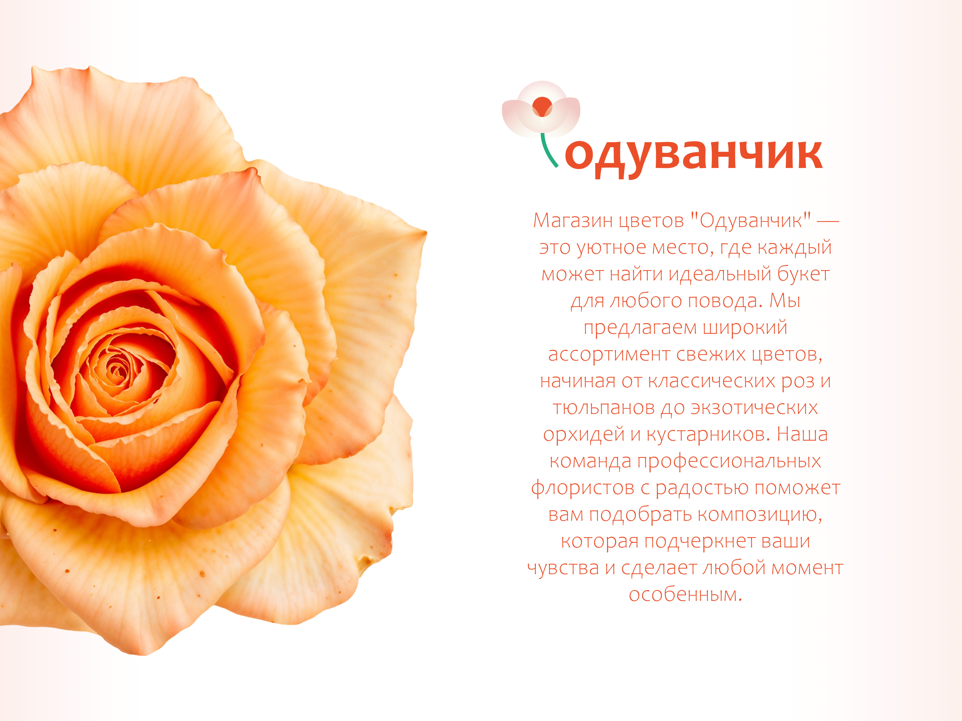 ОДУВАНЧИК-Цветочный магазин — Изображение №2 — Брендинг на Dprofile