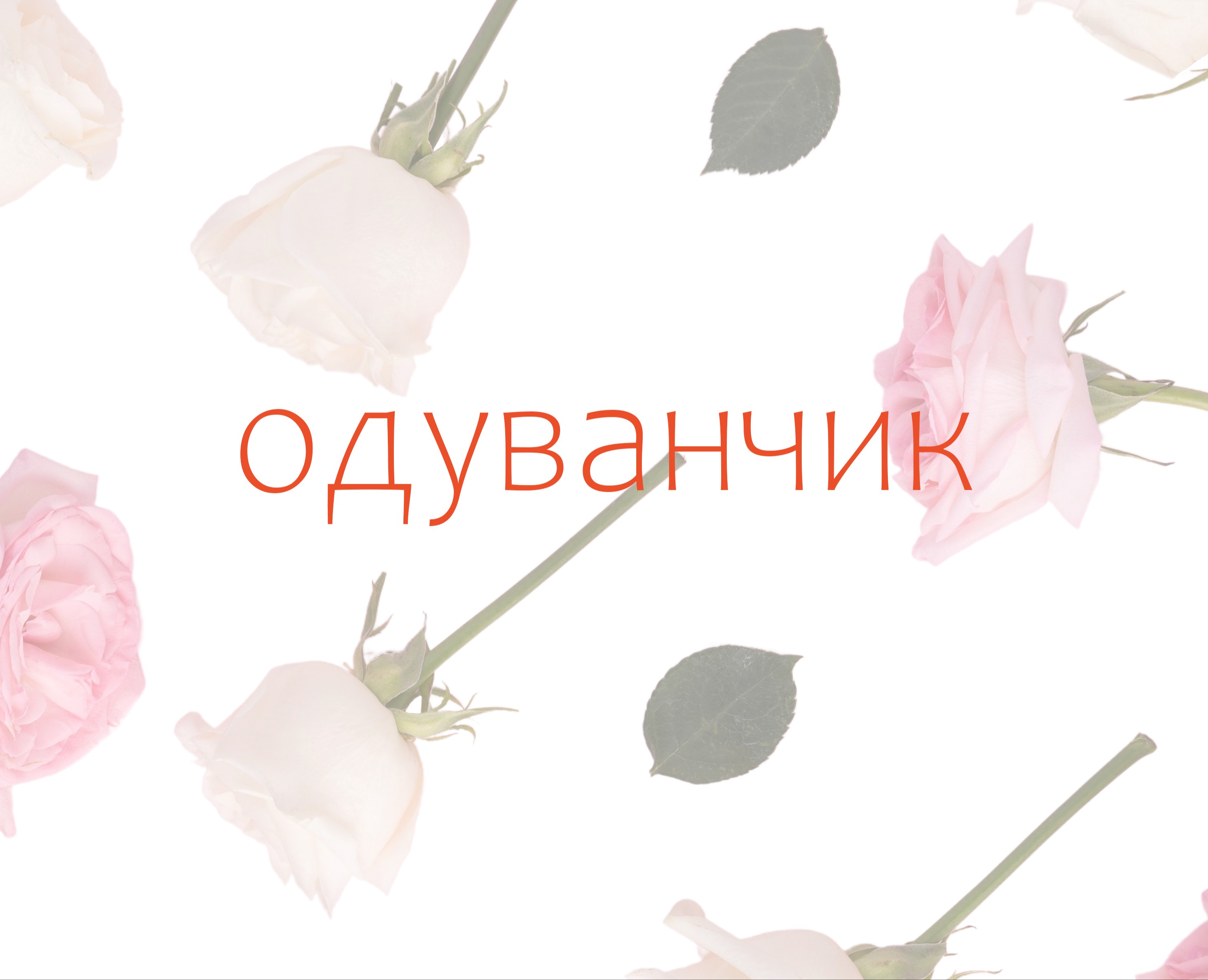 ОДУВАНЧИК-Цветочный магазин на Dprofile