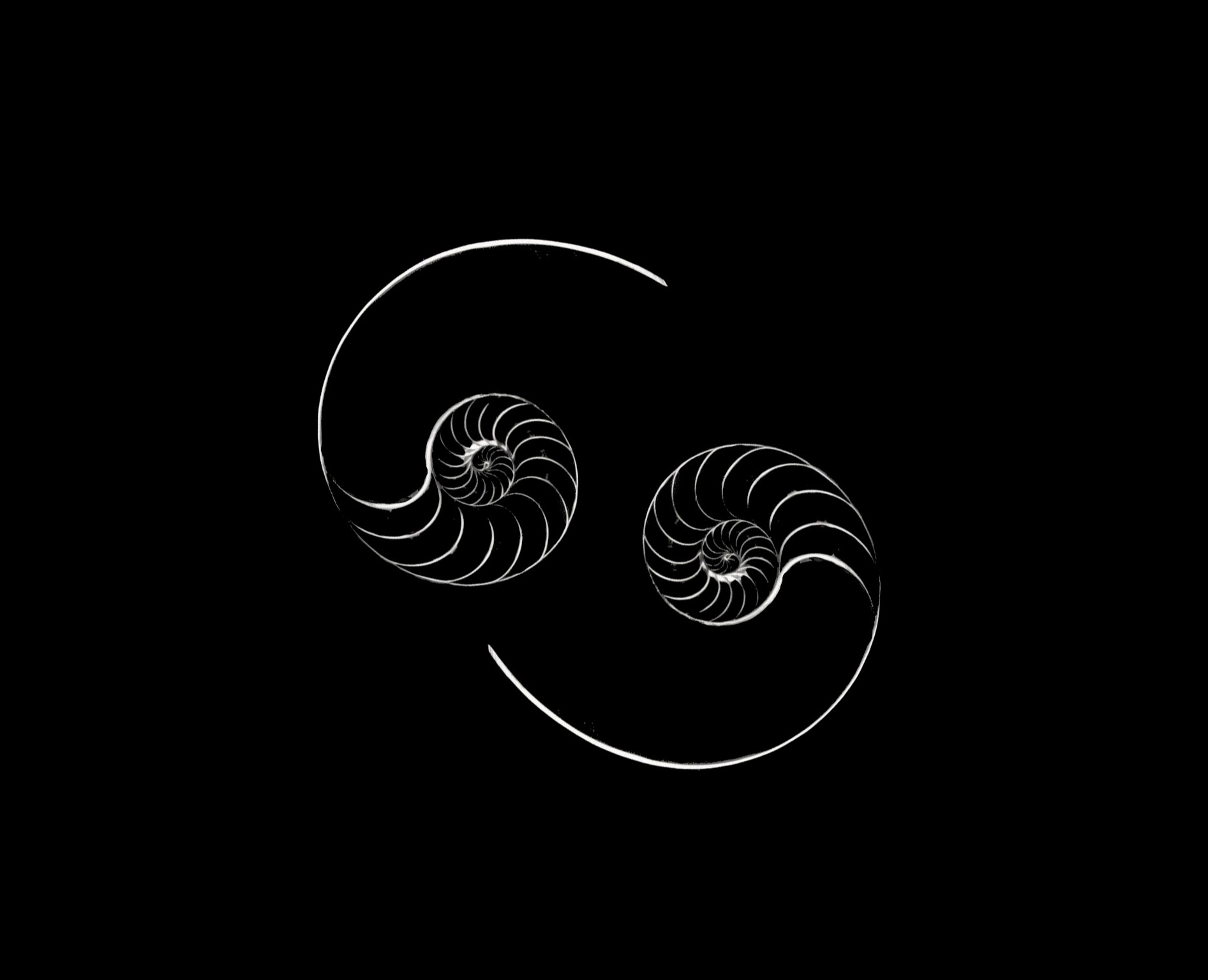 СОЛЕНАЯ КАПЛЯ-ФИРМЕНЫЙ СТИЛЬ на Dprofile