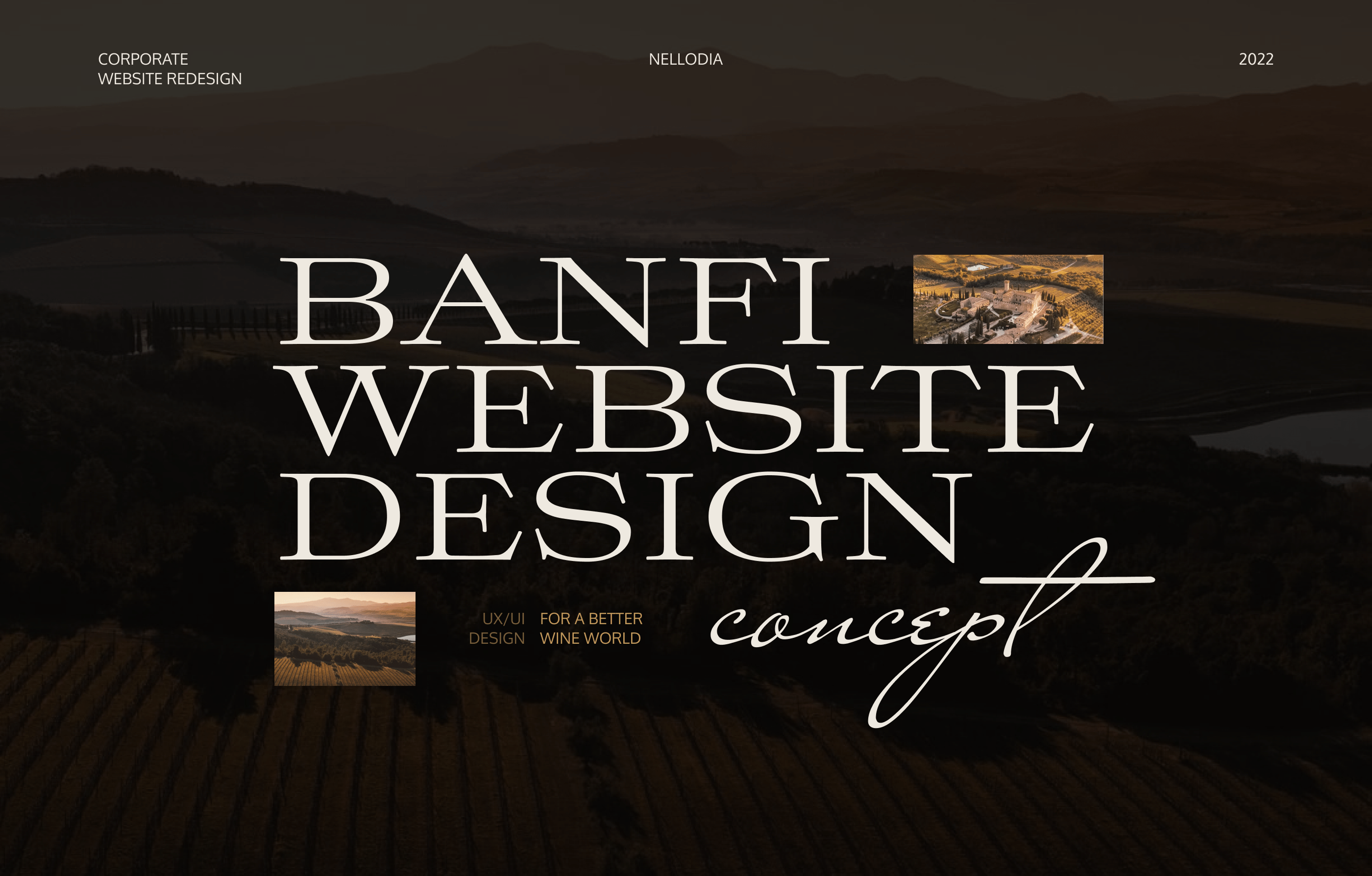 UX/UI Corporate website redesign | BANFI — Изображение №1 — Интерфейсы на Dprofile