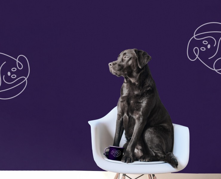 Логотип для ветеринарной клиники DocDog — Брендинг, Графика на Dprofile