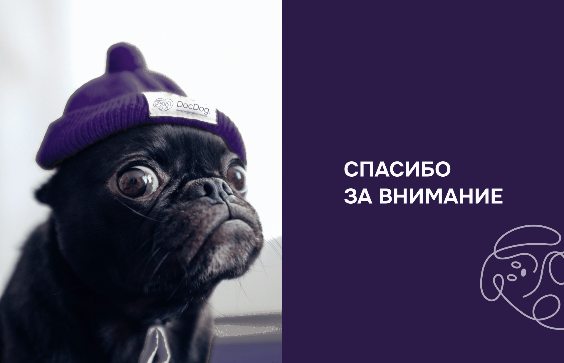 Логотип для ветеринарной клиники DocDog — Изображение №8 — Брендинг, Графика на Dprofile