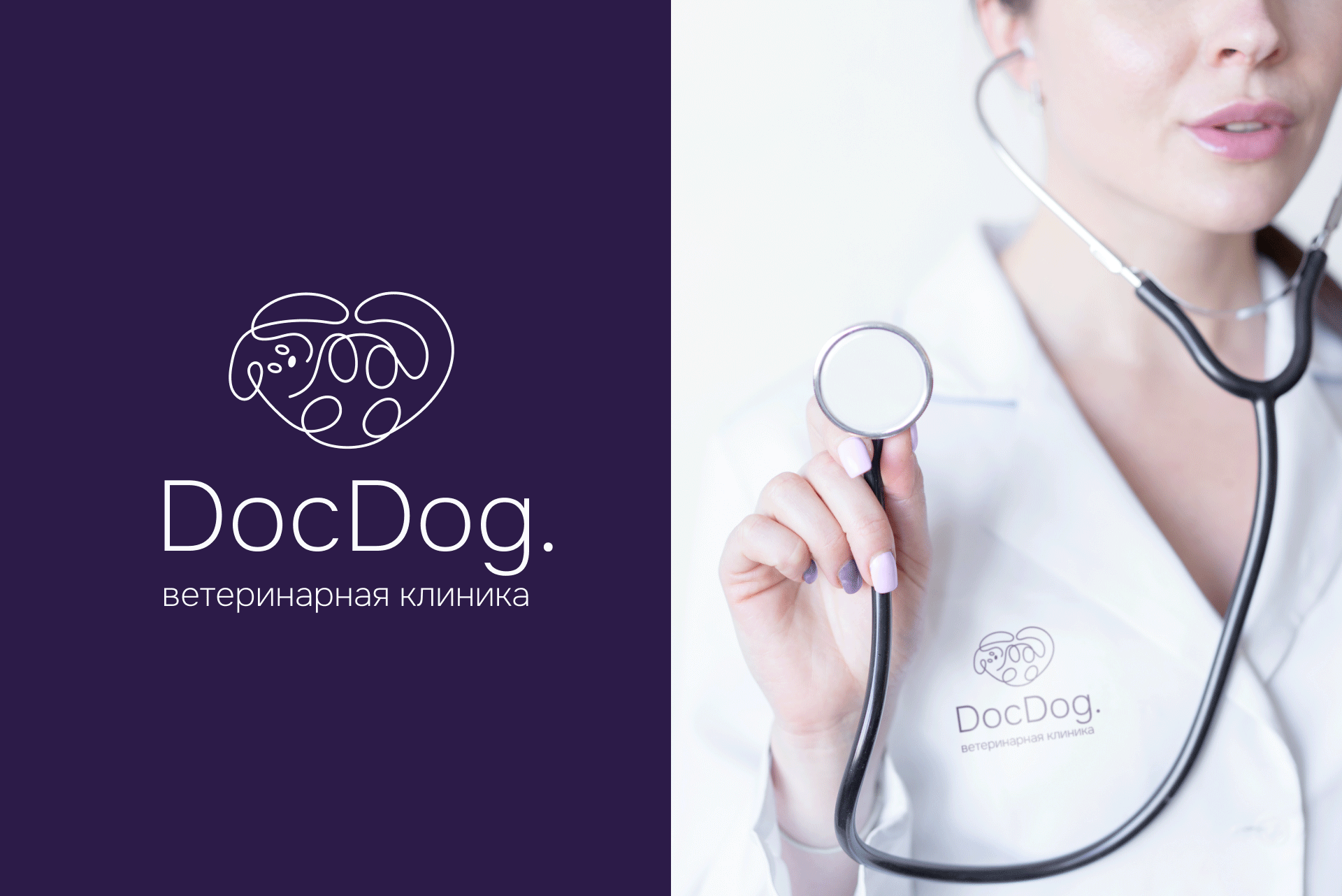 Логотип для ветеринарной клиники DocDog — Изображение №1 — Брендинг, Графика на Dprofile