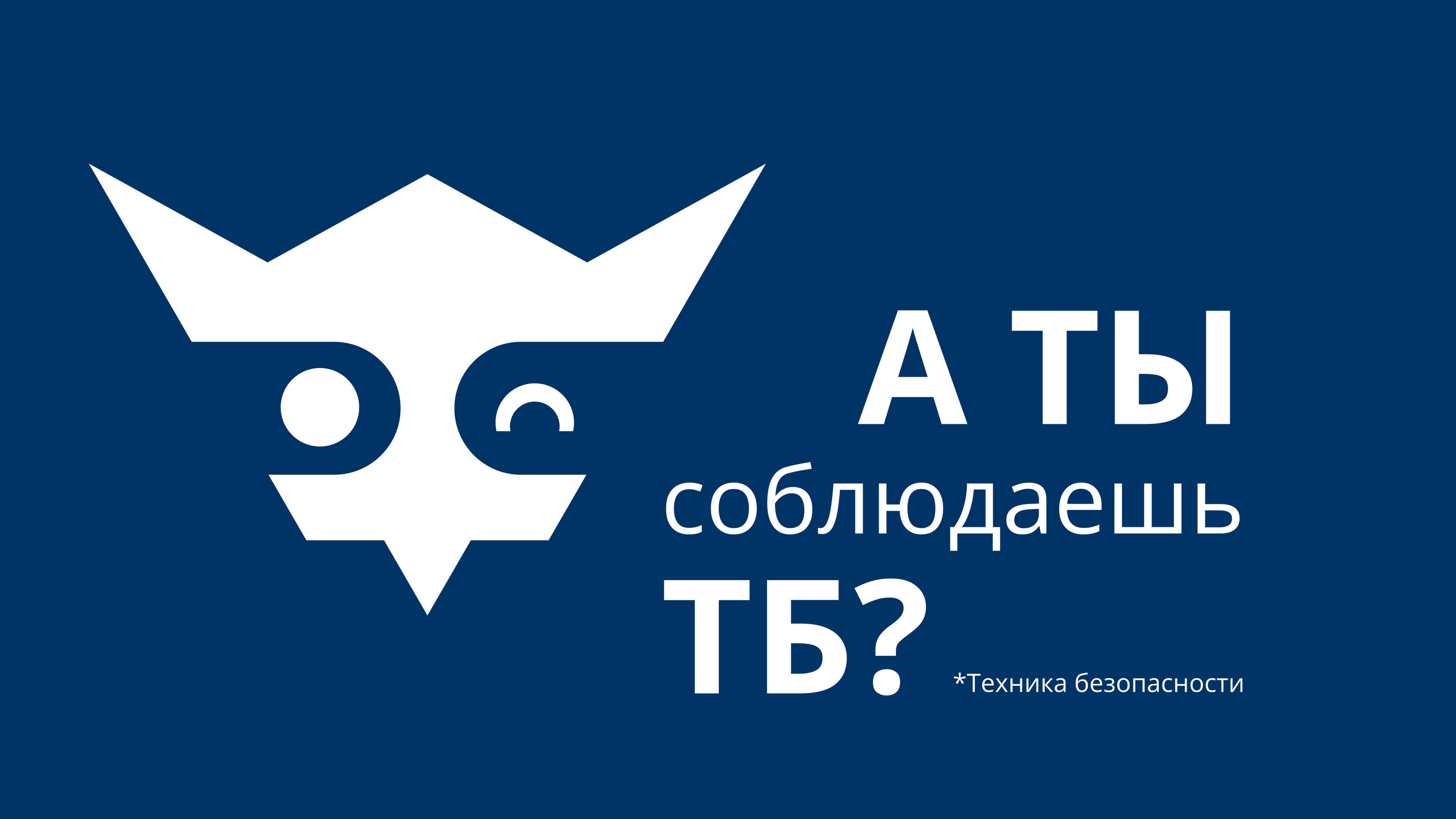 Логотип Безопасности Движения — Изображение №14 — Брендинг, Графика на Dprofile