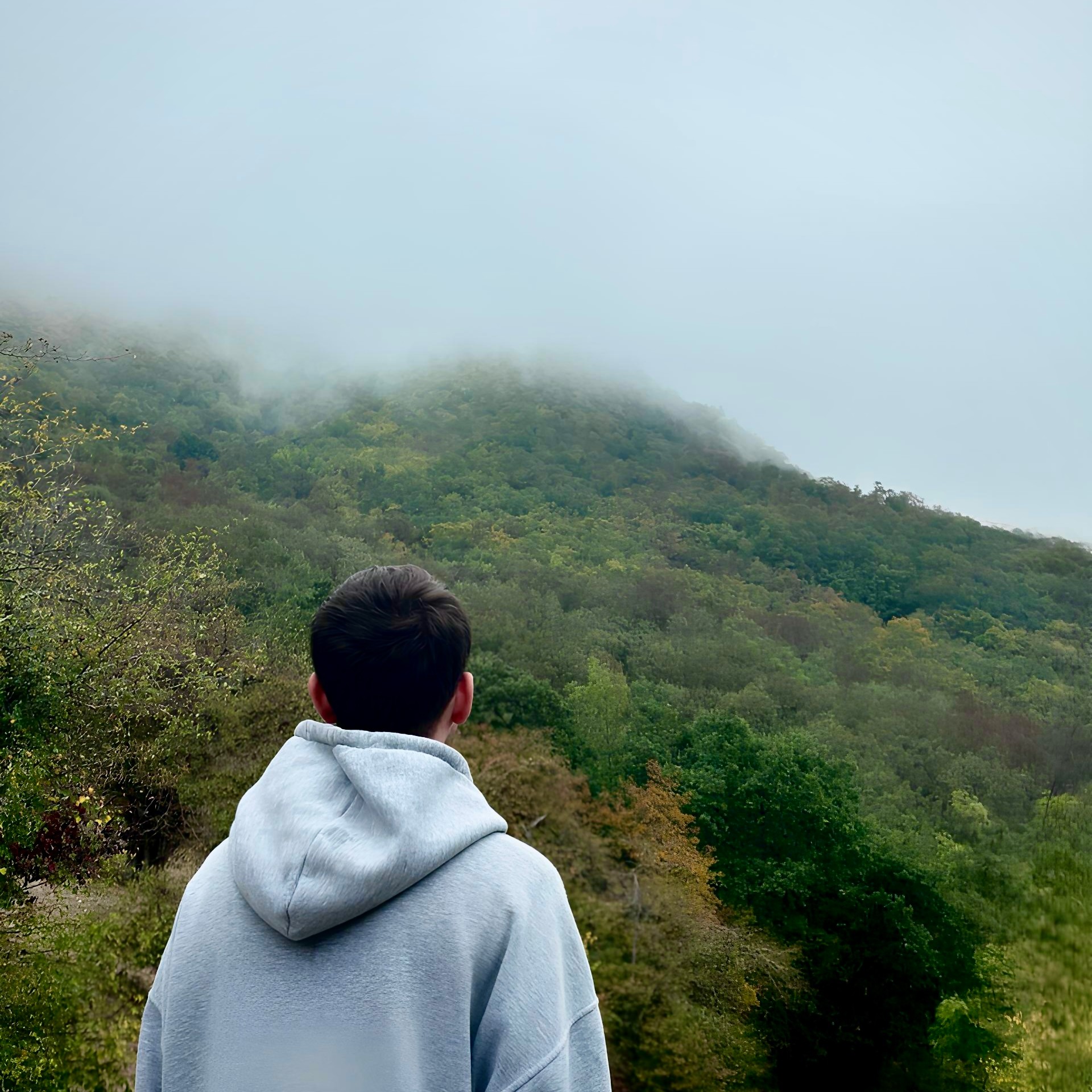 Аватар пользователя Кирилл Ляпин