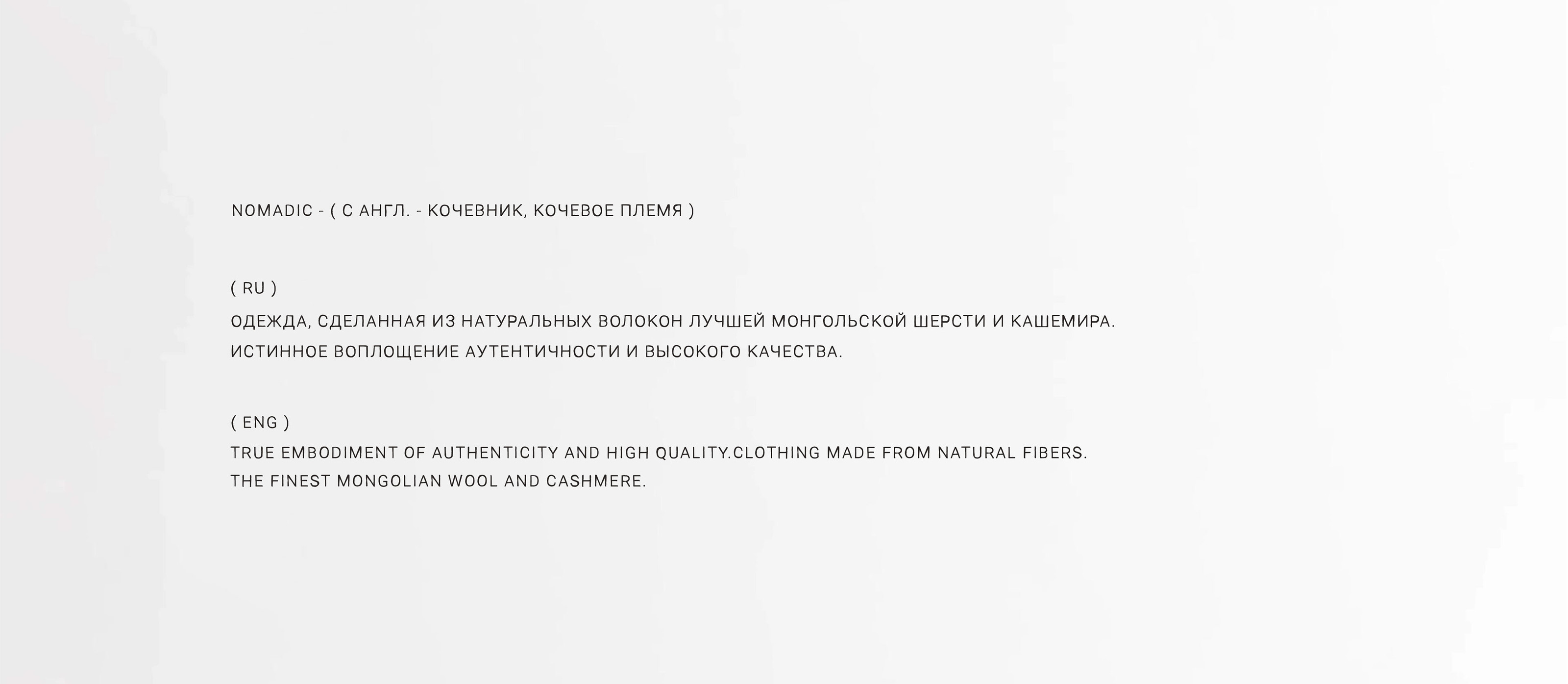 NOMADIC ( BRAND IDENTITY ) ФИРМЕННЫЙ СТИЛЬ — Изображение №2 — Брендинг на Dprofile
