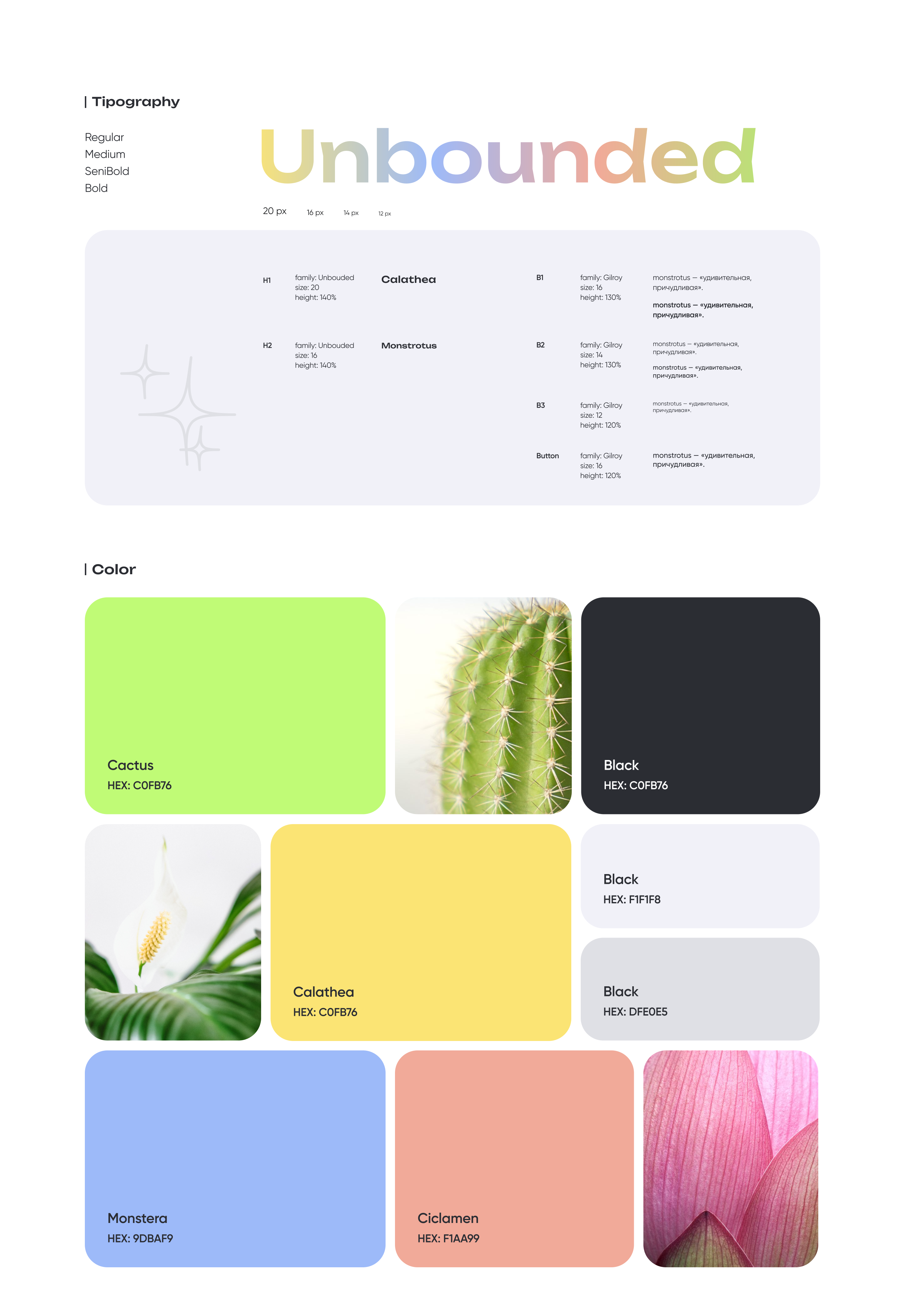 Plant Pal приложение для любителей растений — Изображение №9 — Интерфейсы на Dprofile