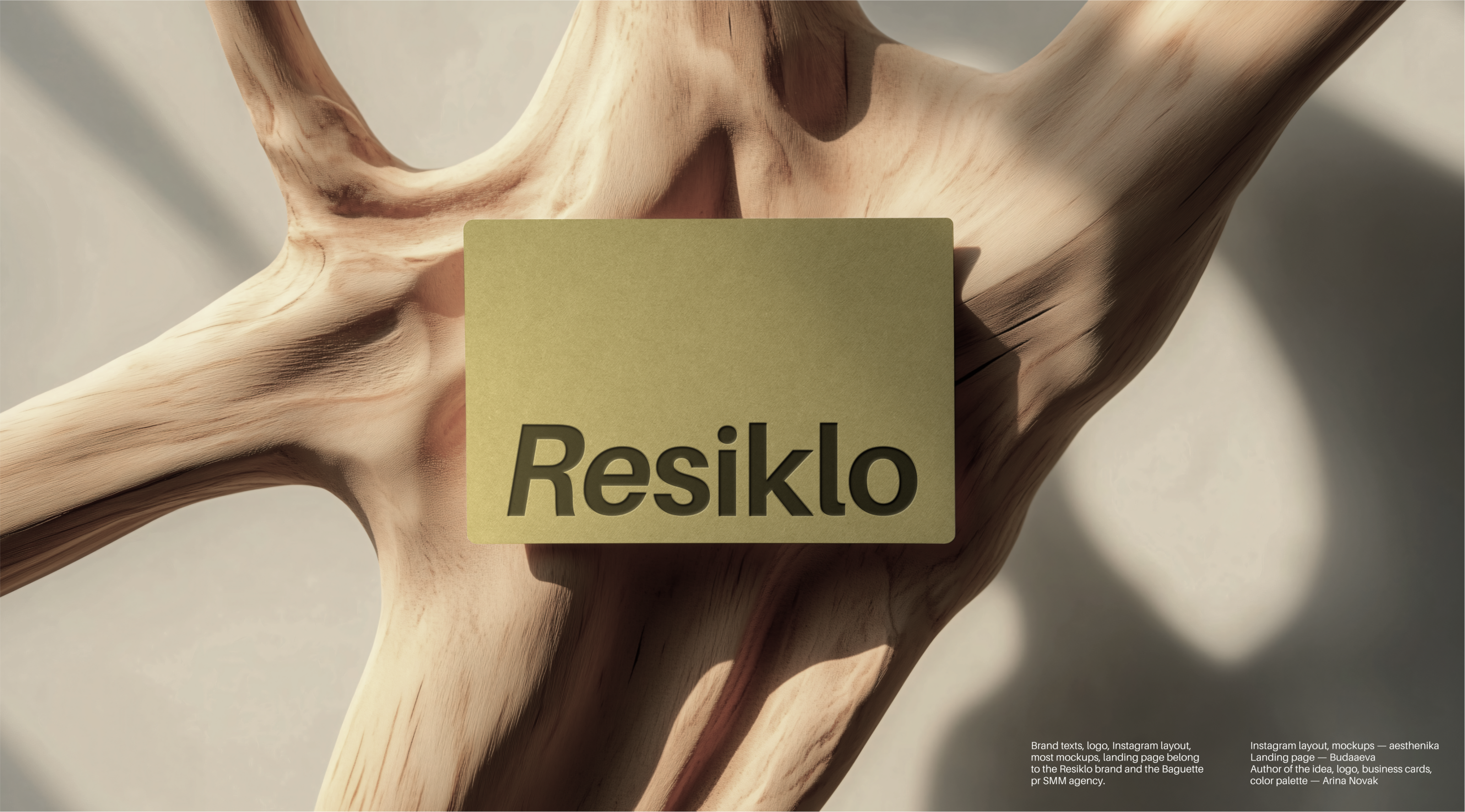 RESIKLO | landing page, social media design — Изображение №16 — Интерфейсы, Графика на Dprofile