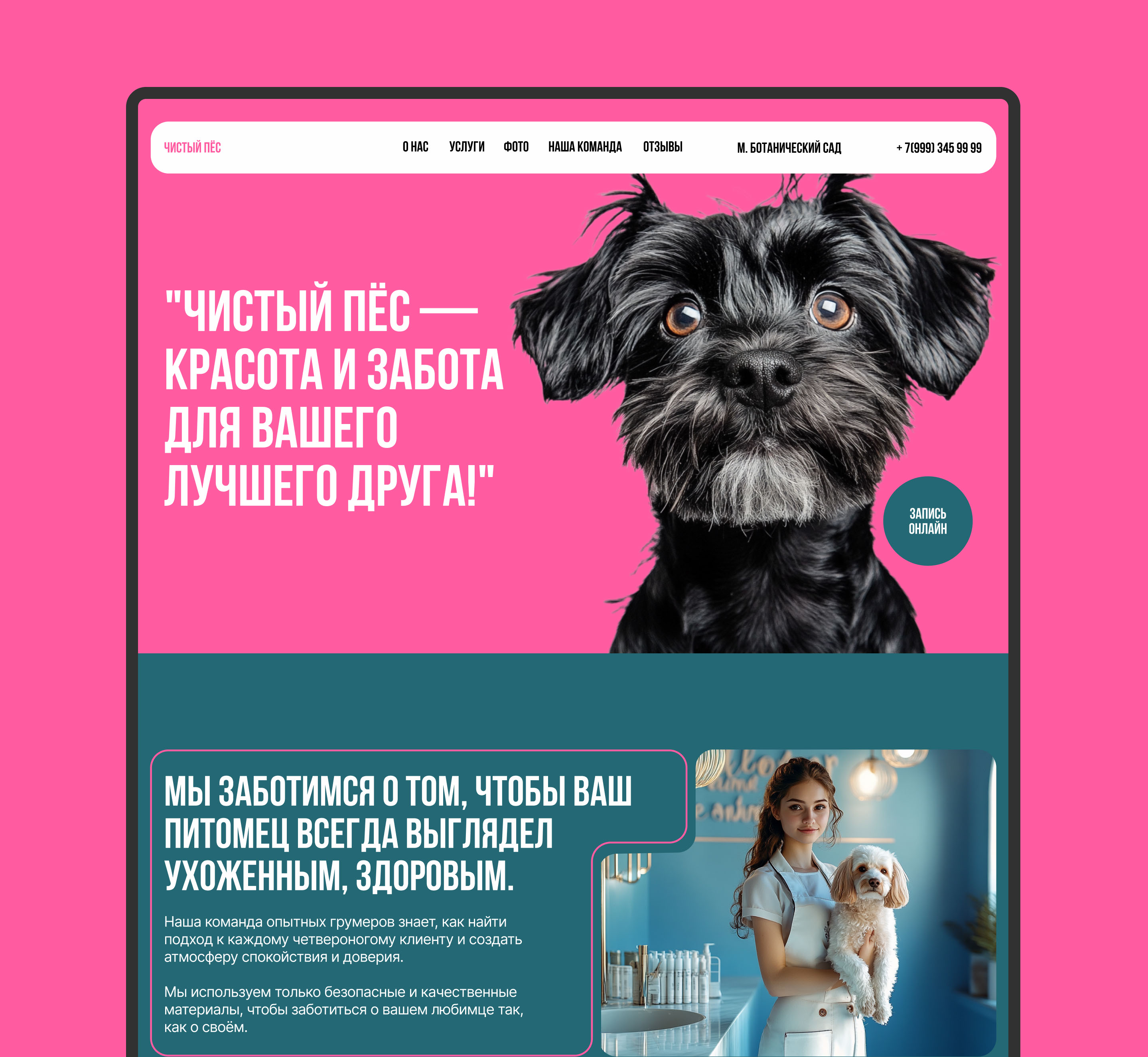 Website - Pet grooming studio / Груминг салон — Изображение №7 — Интерфейсы на Dprofile