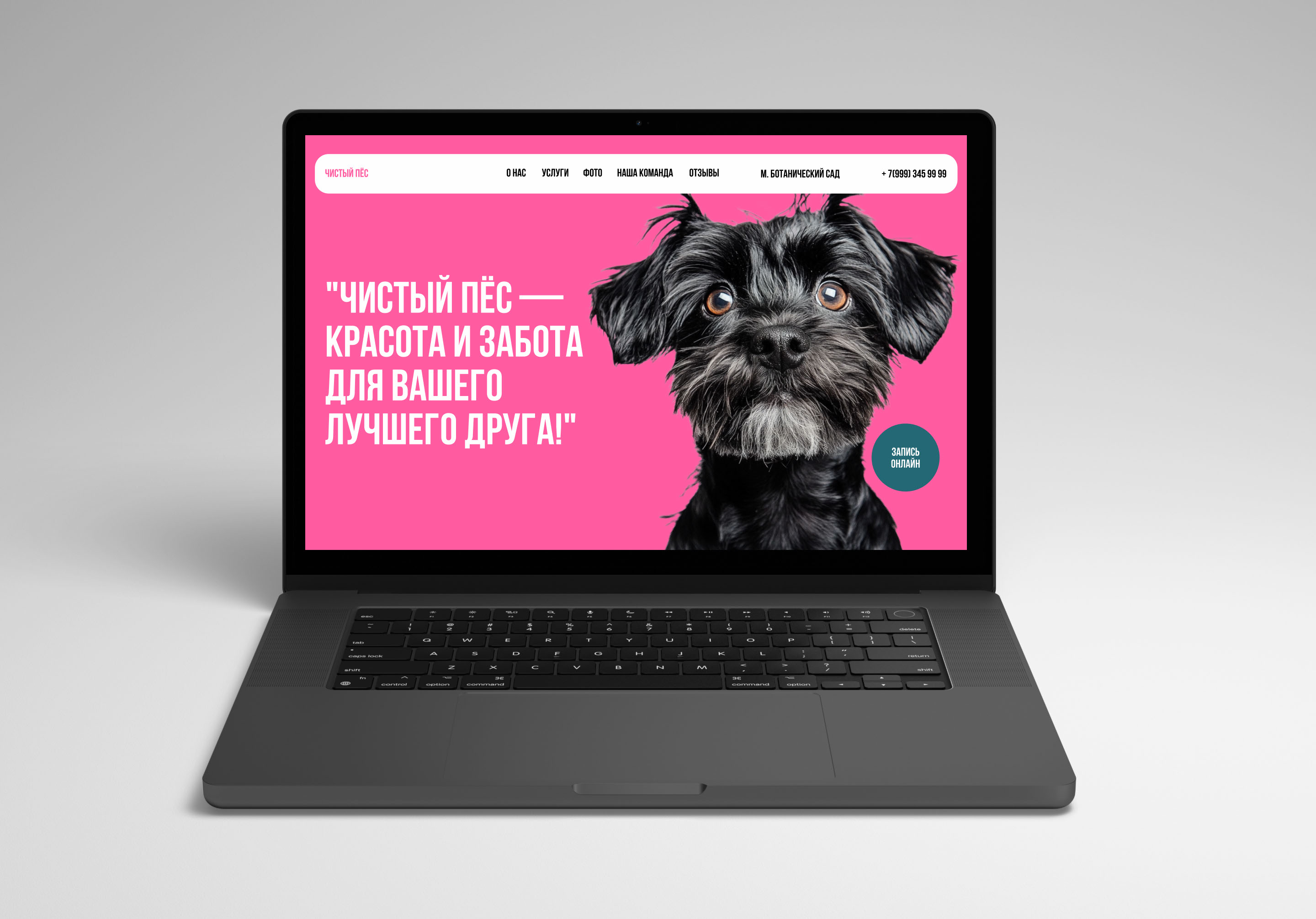Website - Pet grooming studio / Груминг салон — Изображение №13 — Интерфейсы на Dprofile