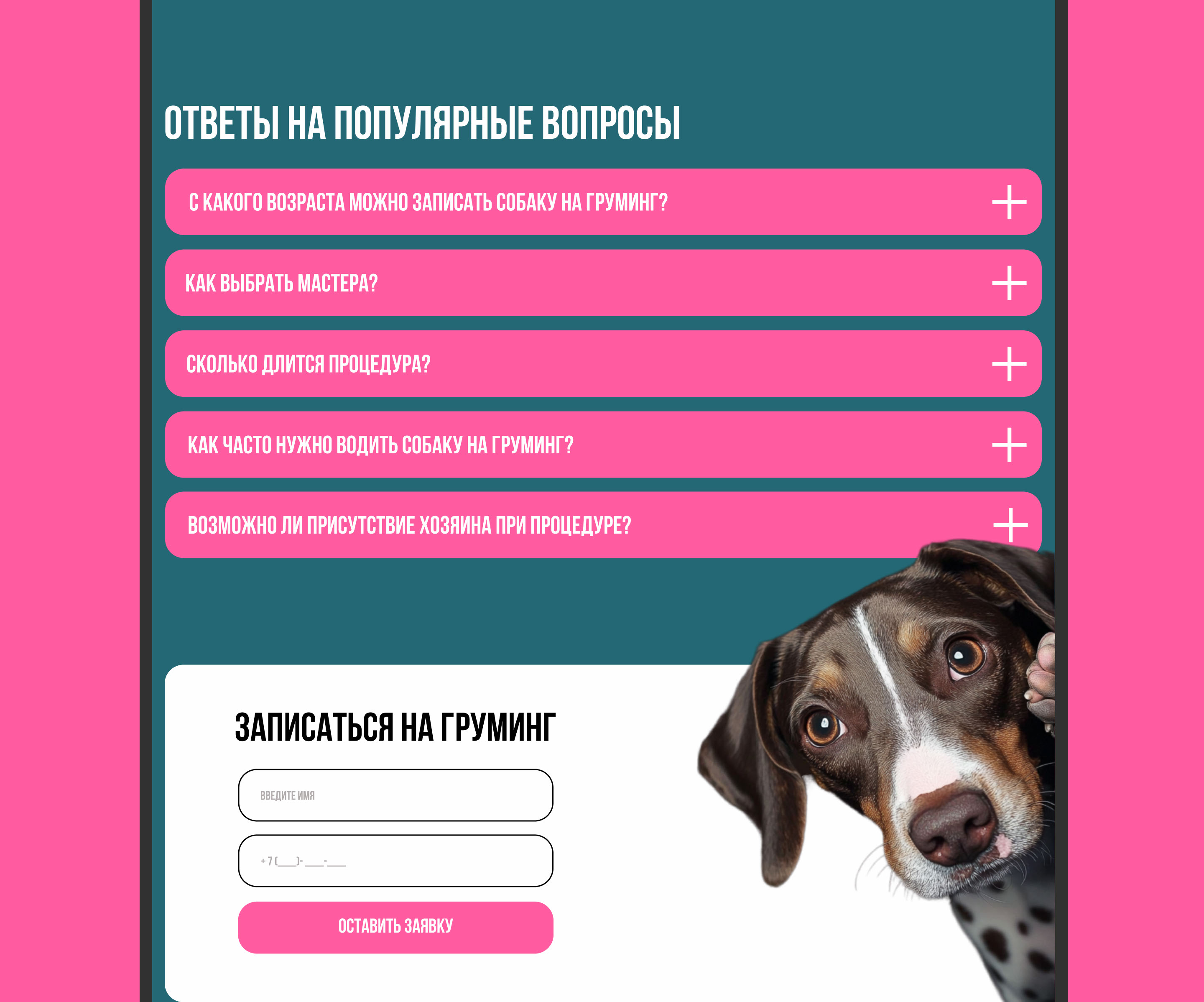 Website - Pet grooming studio / Груминг салон — Изображение №19 — Интерфейсы на Dprofile