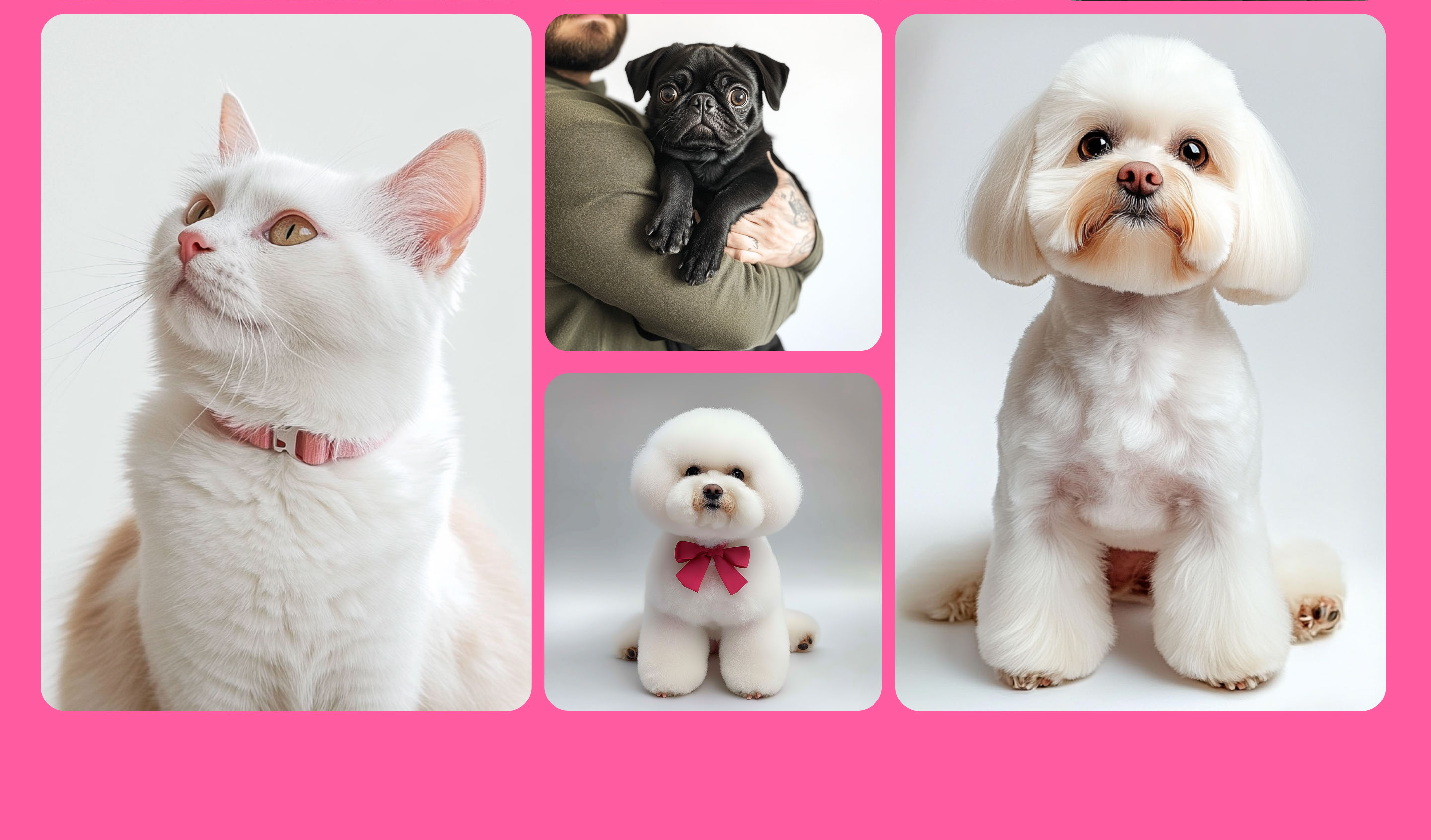 Website - Pet grooming studio / Груминг салон — Изображение №24 — Интерфейсы на Dprofile