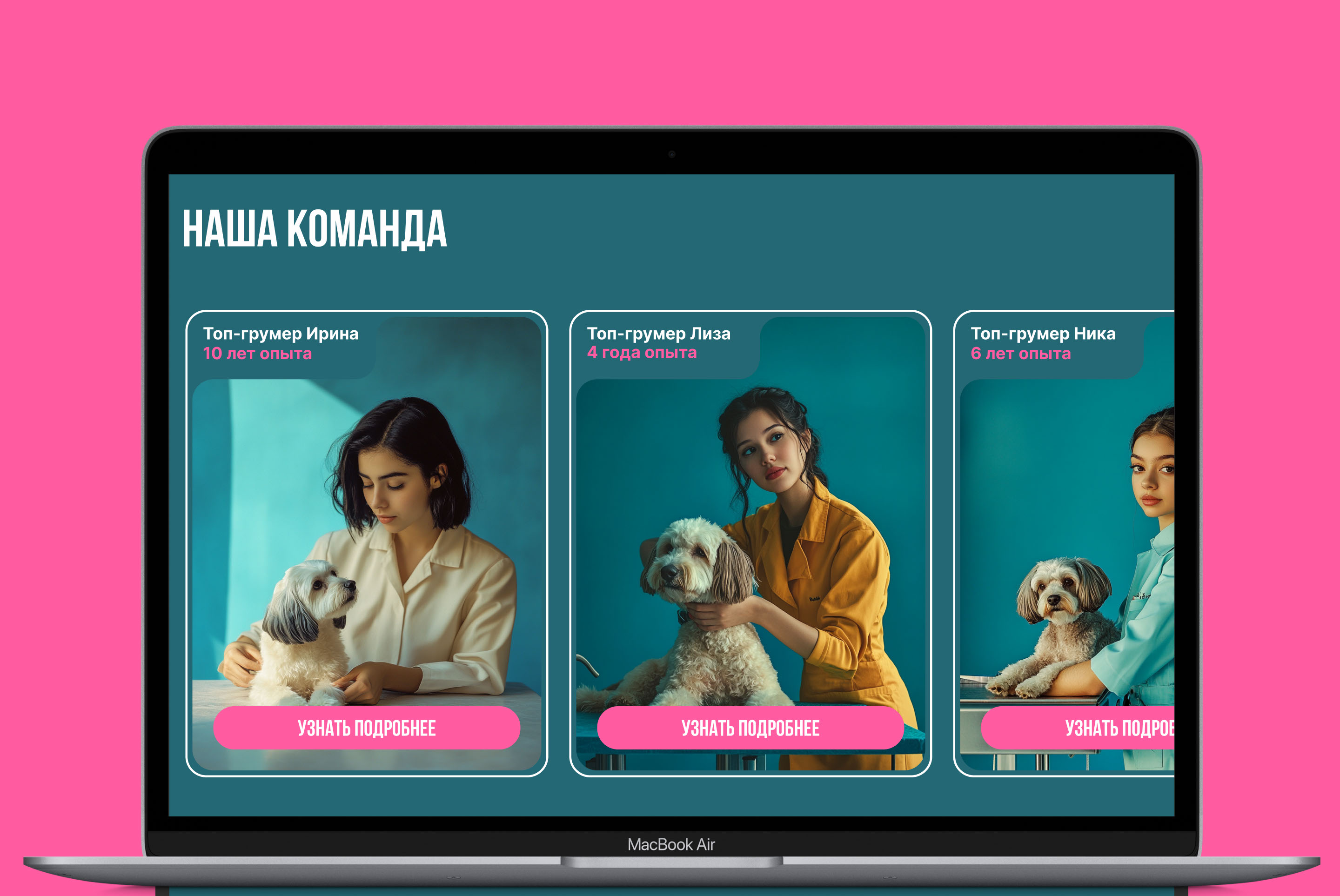 Website - Pet grooming studio / Груминг салон — Изображение №17 — Интерфейсы на Dprofile