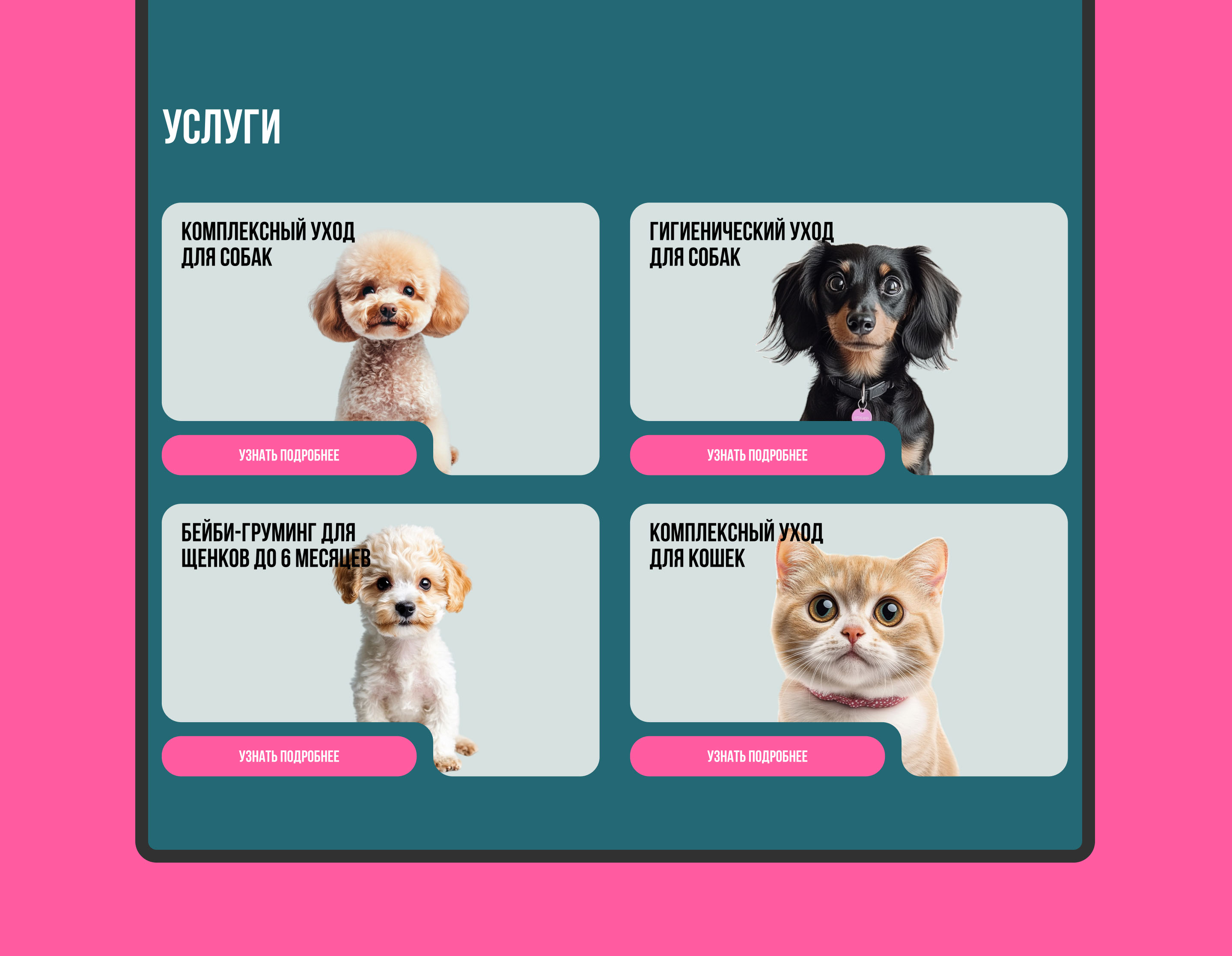 Website - Pet grooming studio / Груминг салон — Изображение №8 — Интерфейсы на Dprofile