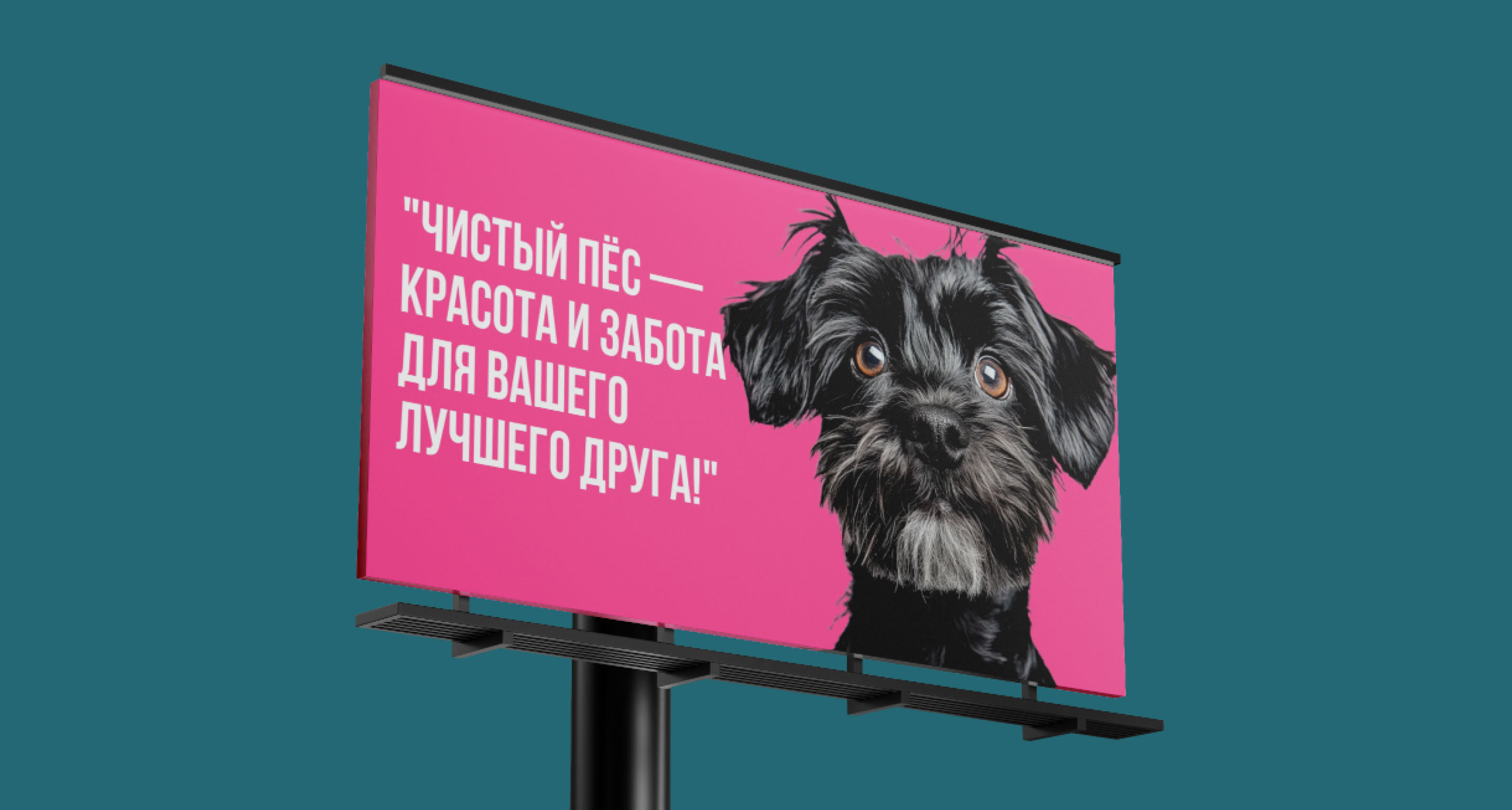 Website - Pet grooming studio / Груминг салон — Изображение №22 — Интерфейсы на Dprofile