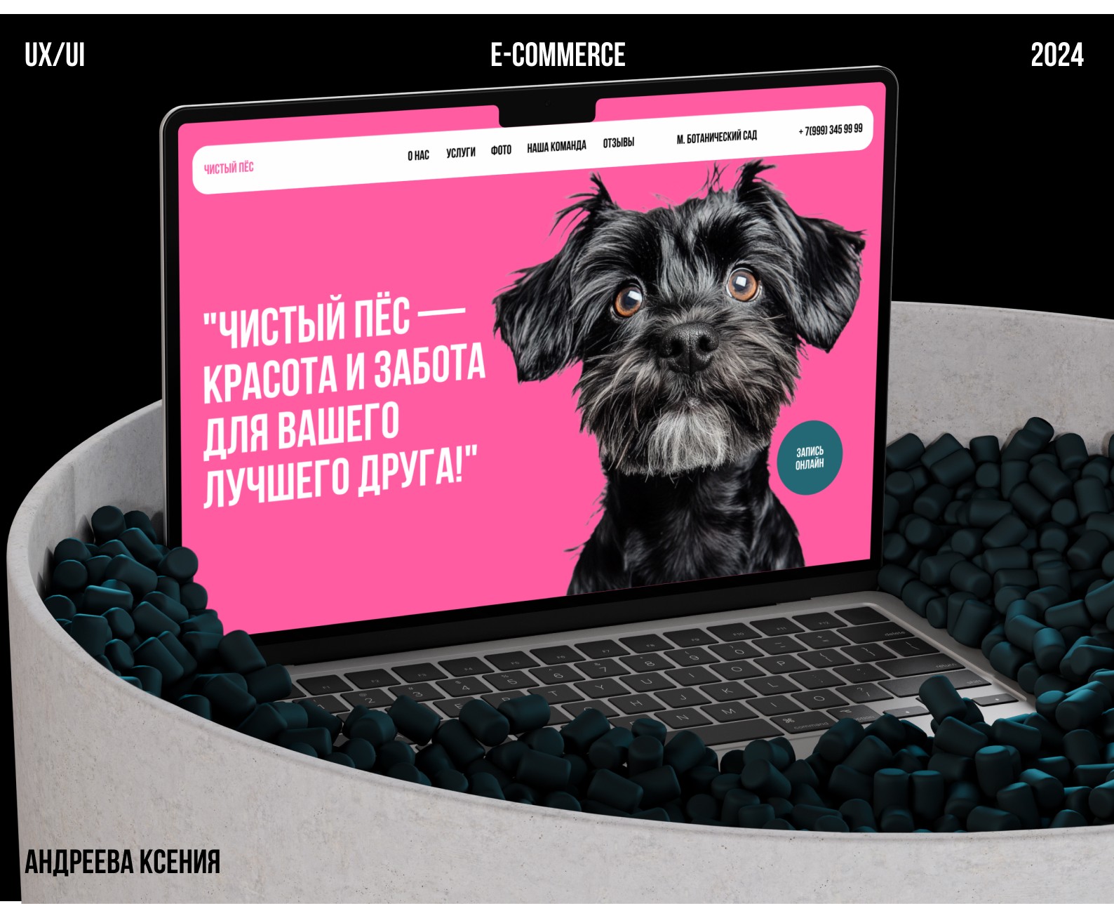 Website - Pet grooming studio / Груминг салон — Интерфейсы на Dprofile