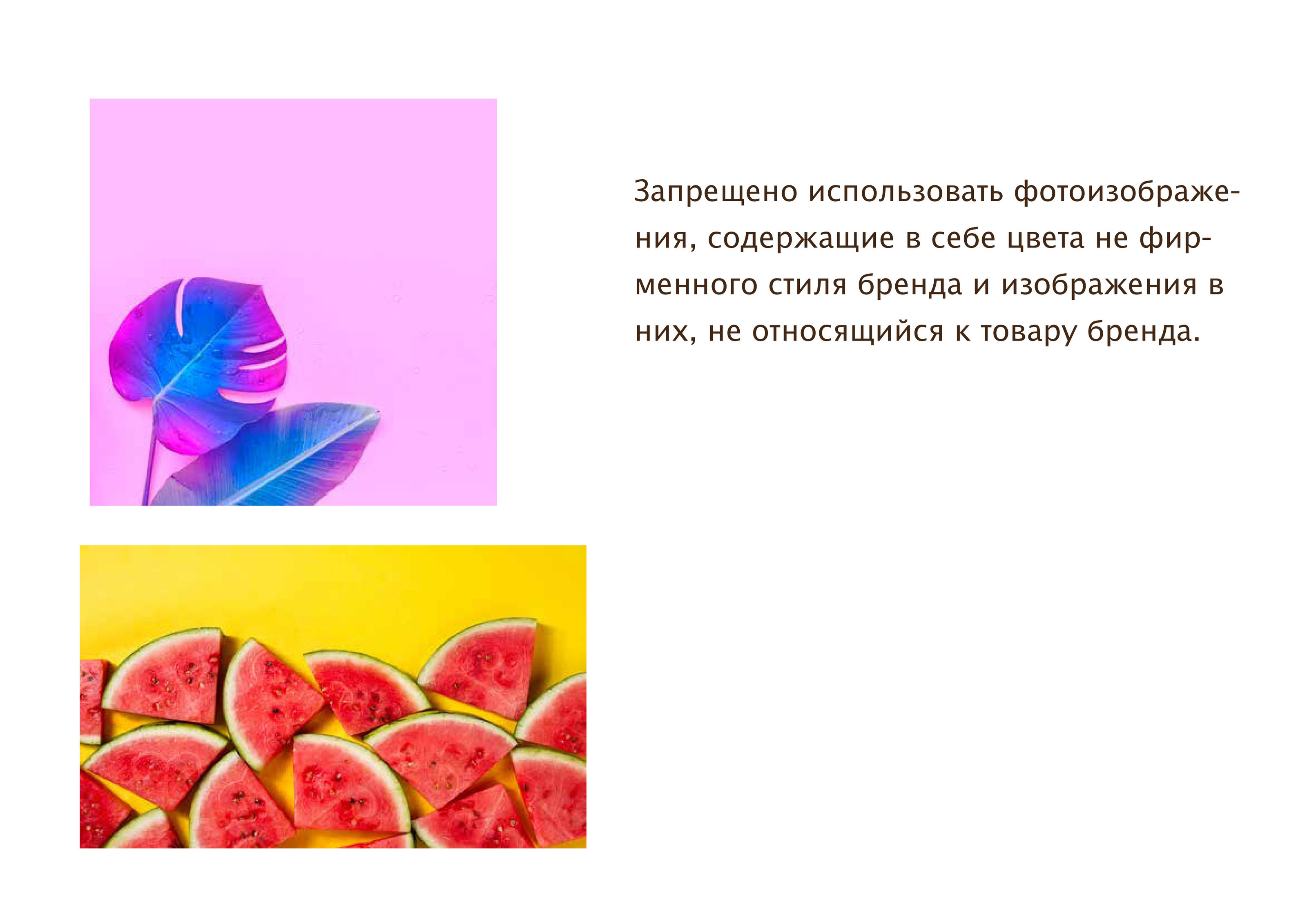 Разработка логотипа для торговой SHOLTO марки — Изображение №11 — Брендинг, Графика на Dprofile