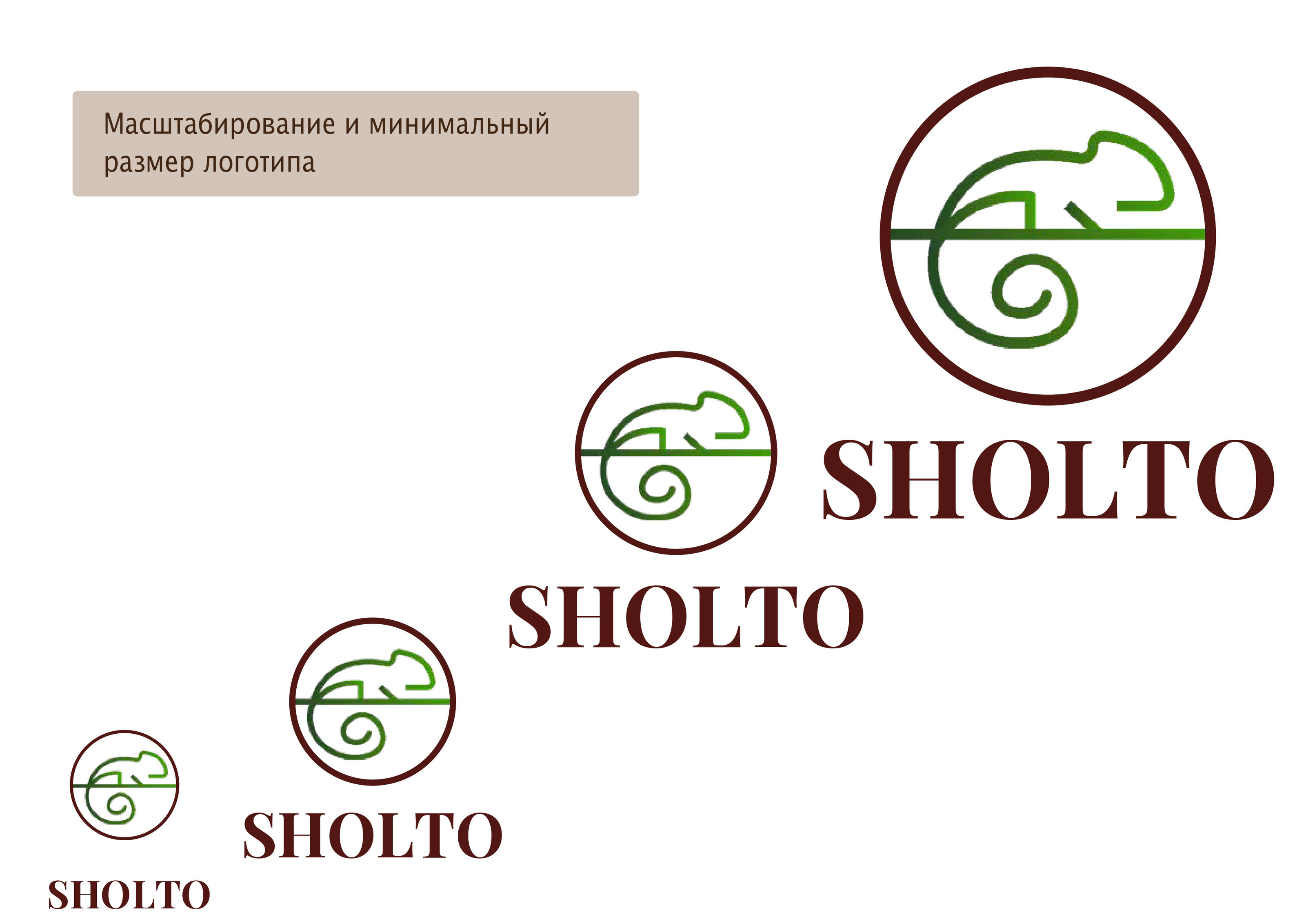 Разработка логотипа для торговой SHOLTO марки — Изображение №7 — Брендинг, Графика на Dprofile