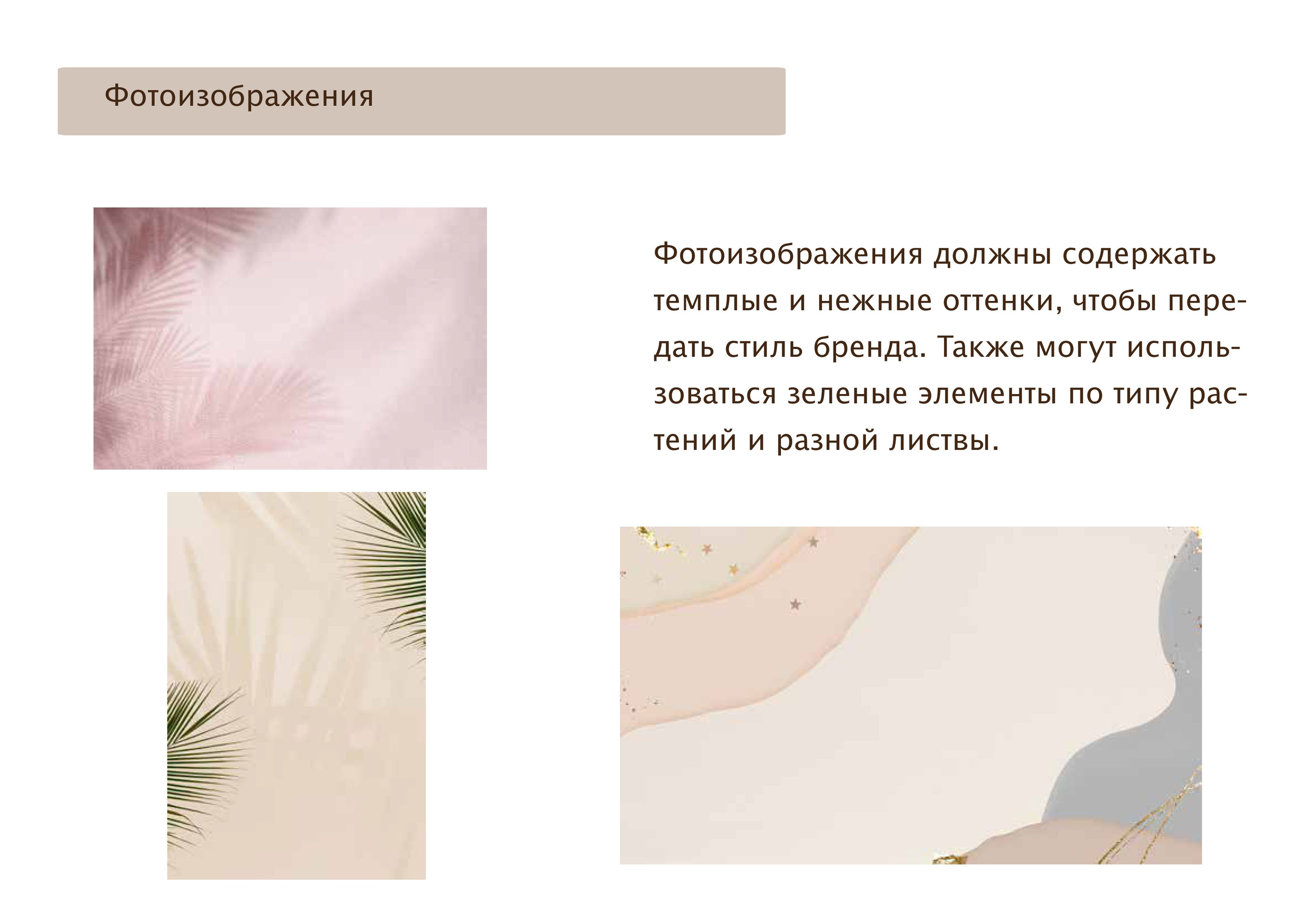 Разработка логотипа для торговой SHOLTO марки — Изображение №10 — Брендинг, Графика на Dprofile