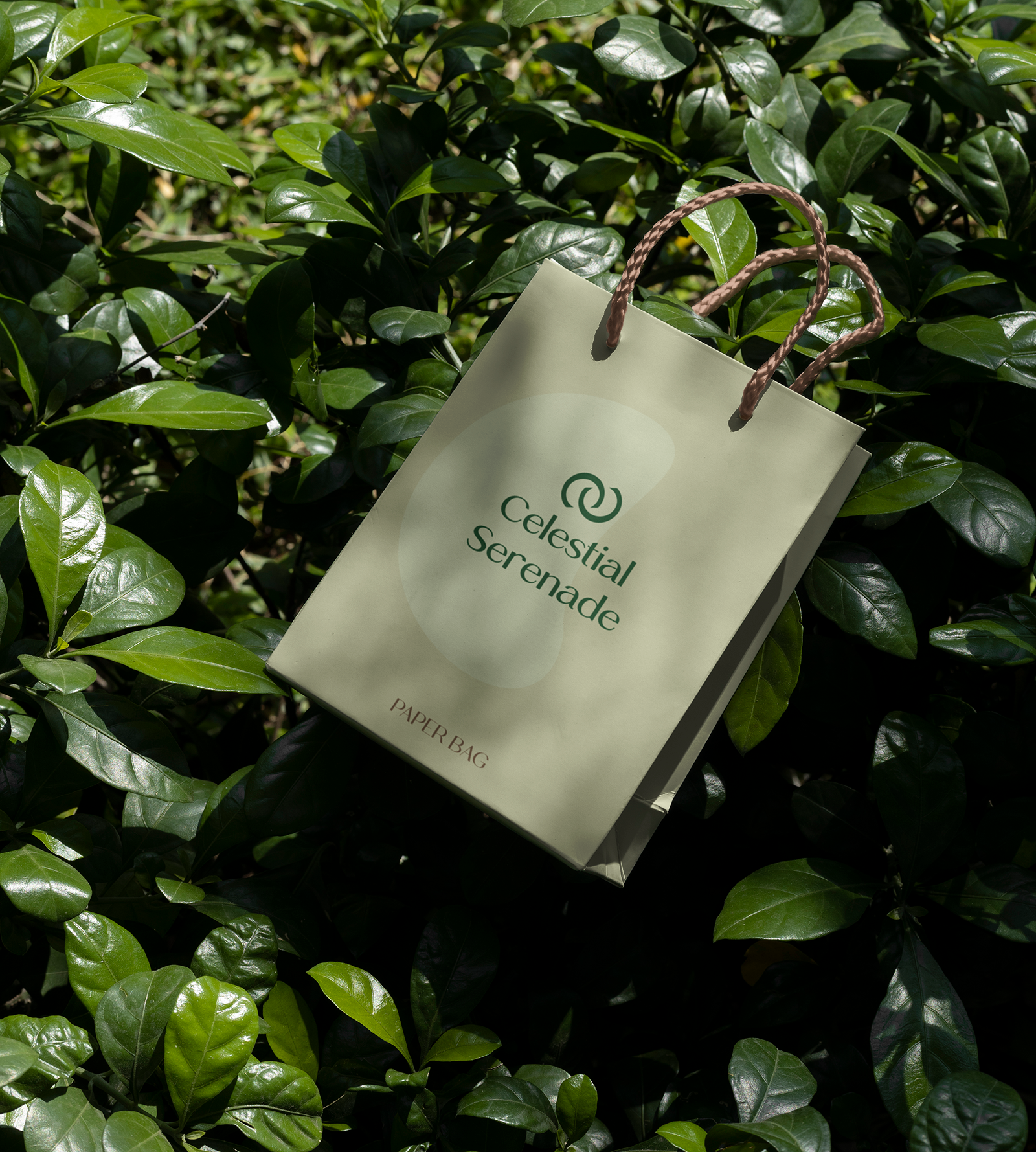 Celestial Serenade | Brand Identity Брендинг — Изображение №12 — Брендинг, Графика на Dprofile