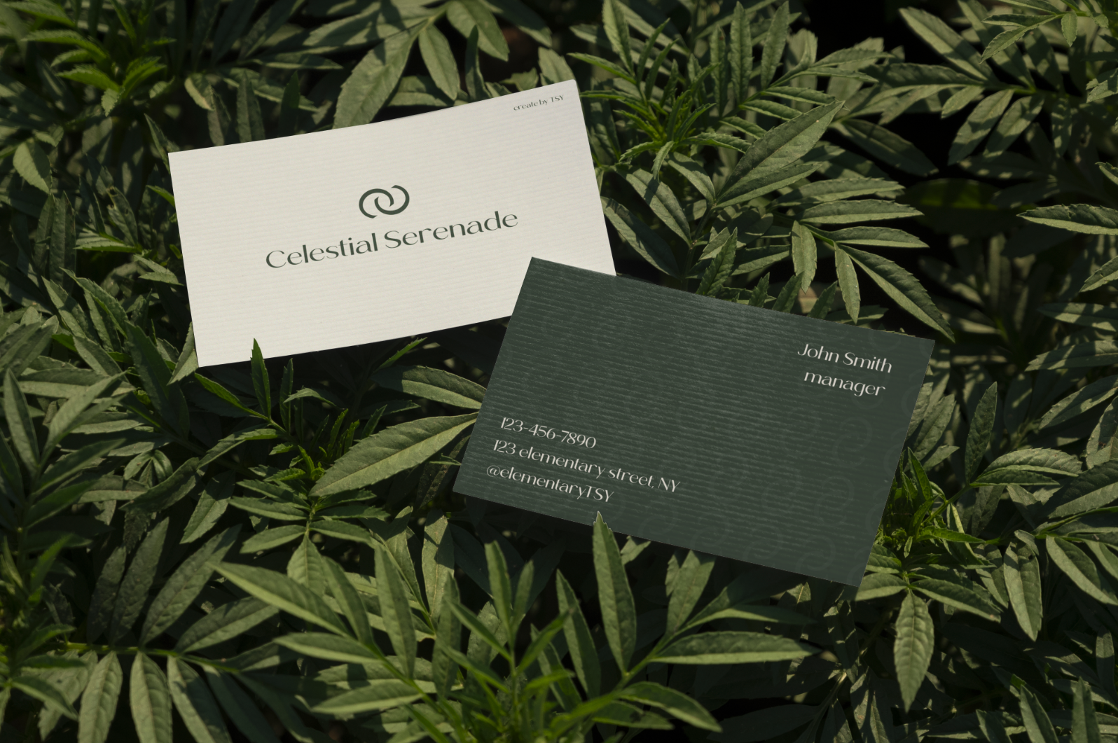 Celestial Serenade | Brand Identity Брендинг — Изображение №9 — Брендинг, Графика на Dprofile
