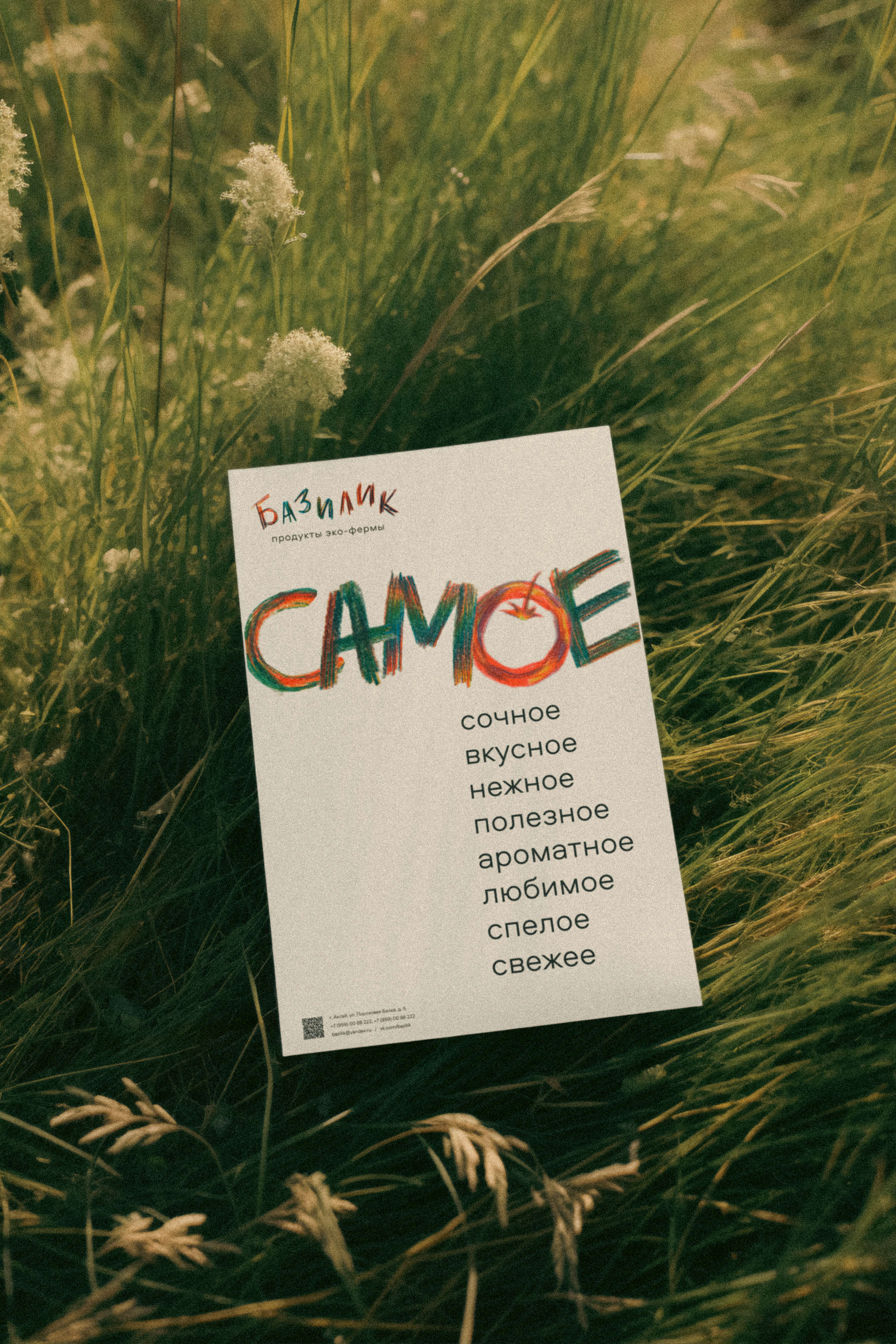 Фирменный стиль для эко-фермы Базилик — Изображение №12 — Брендинг, Графика на Dprofile