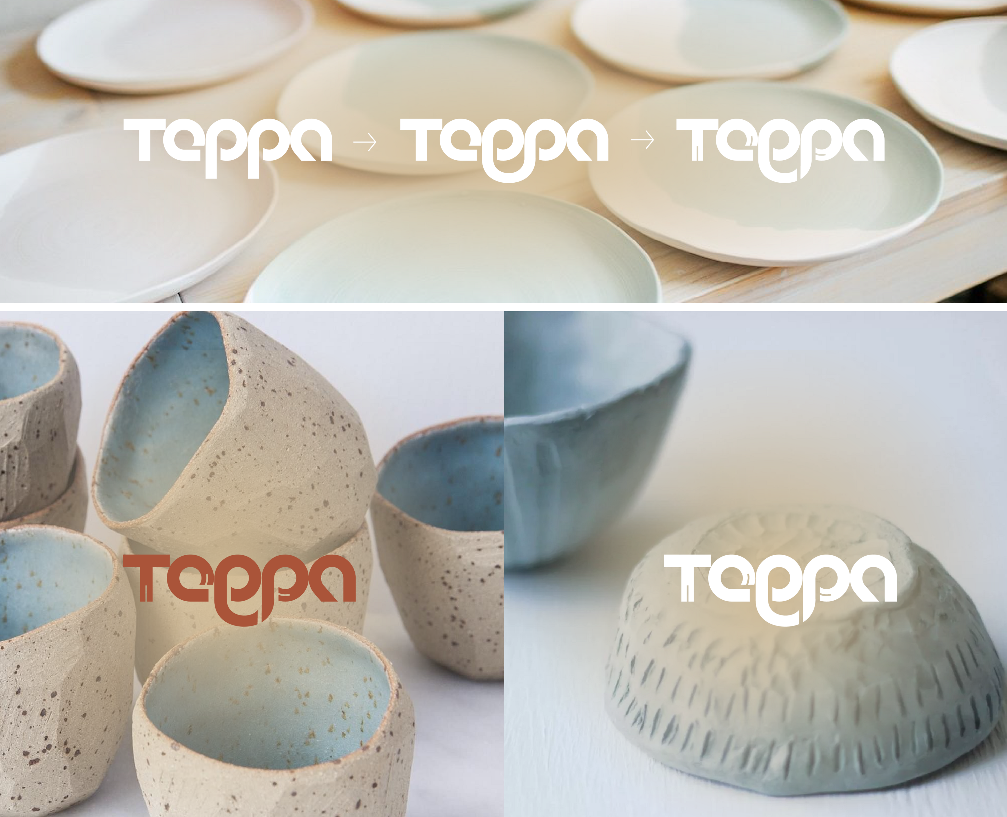 TERRA | logo and Visual Identity Design — Брендинг на Dprofile