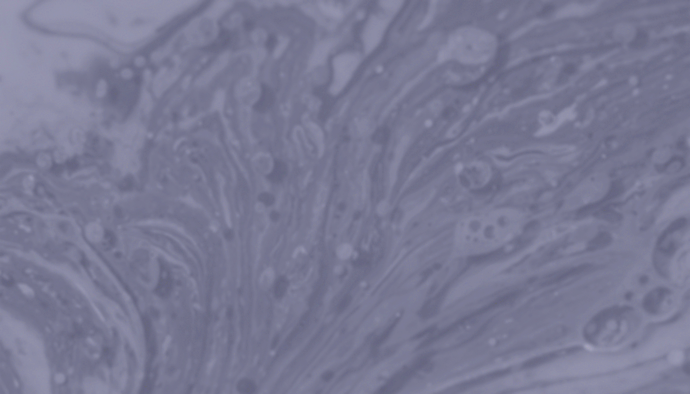 Radiant Dew Soap | Брендинг | Упаковка | Логотип — Изображение №9 — Брендинг на Dprofile
