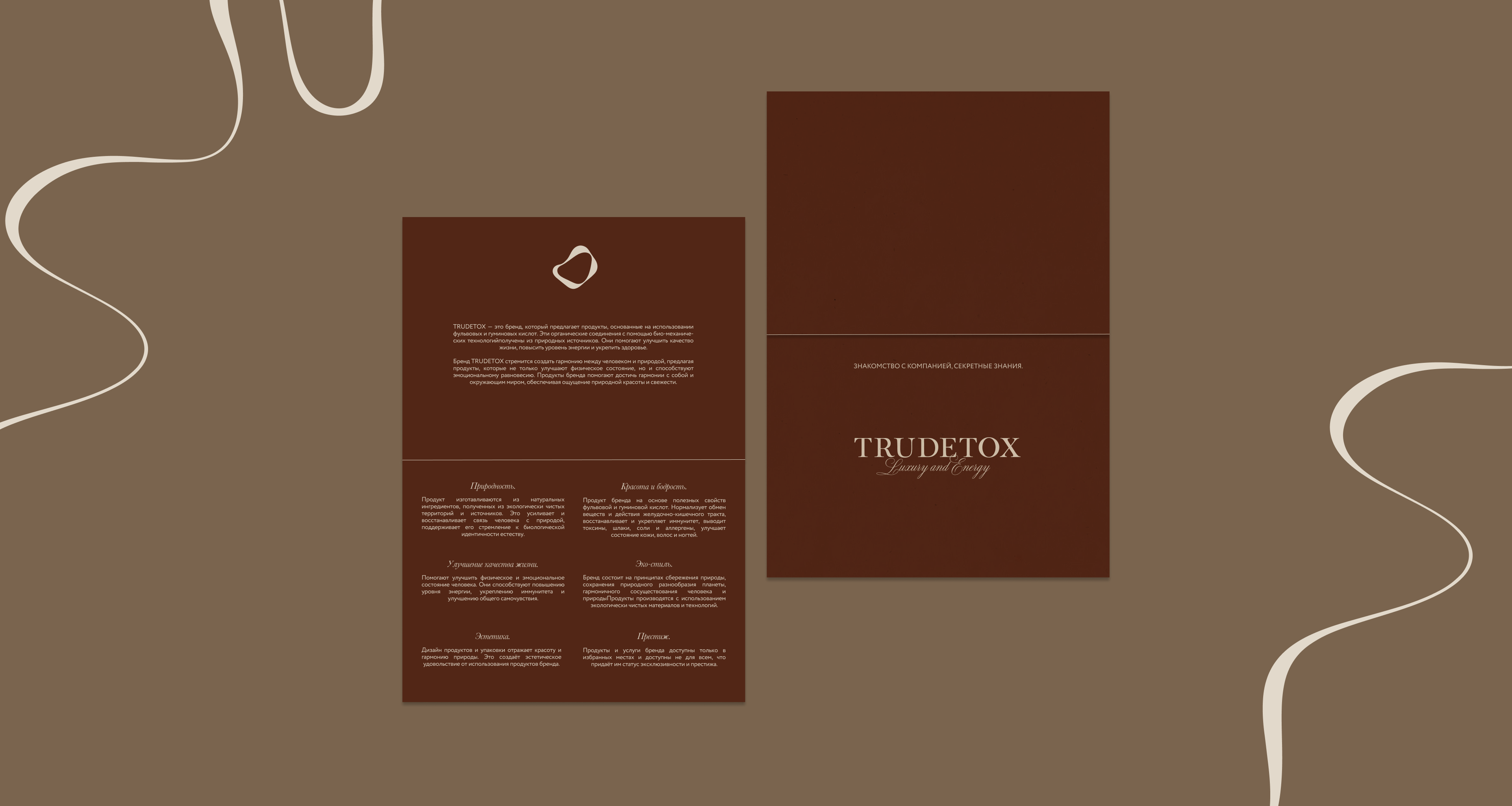 TRUDETOX / Брендинг / Пищевые добавки — Изображение №15 — Брендинг на Dprofile