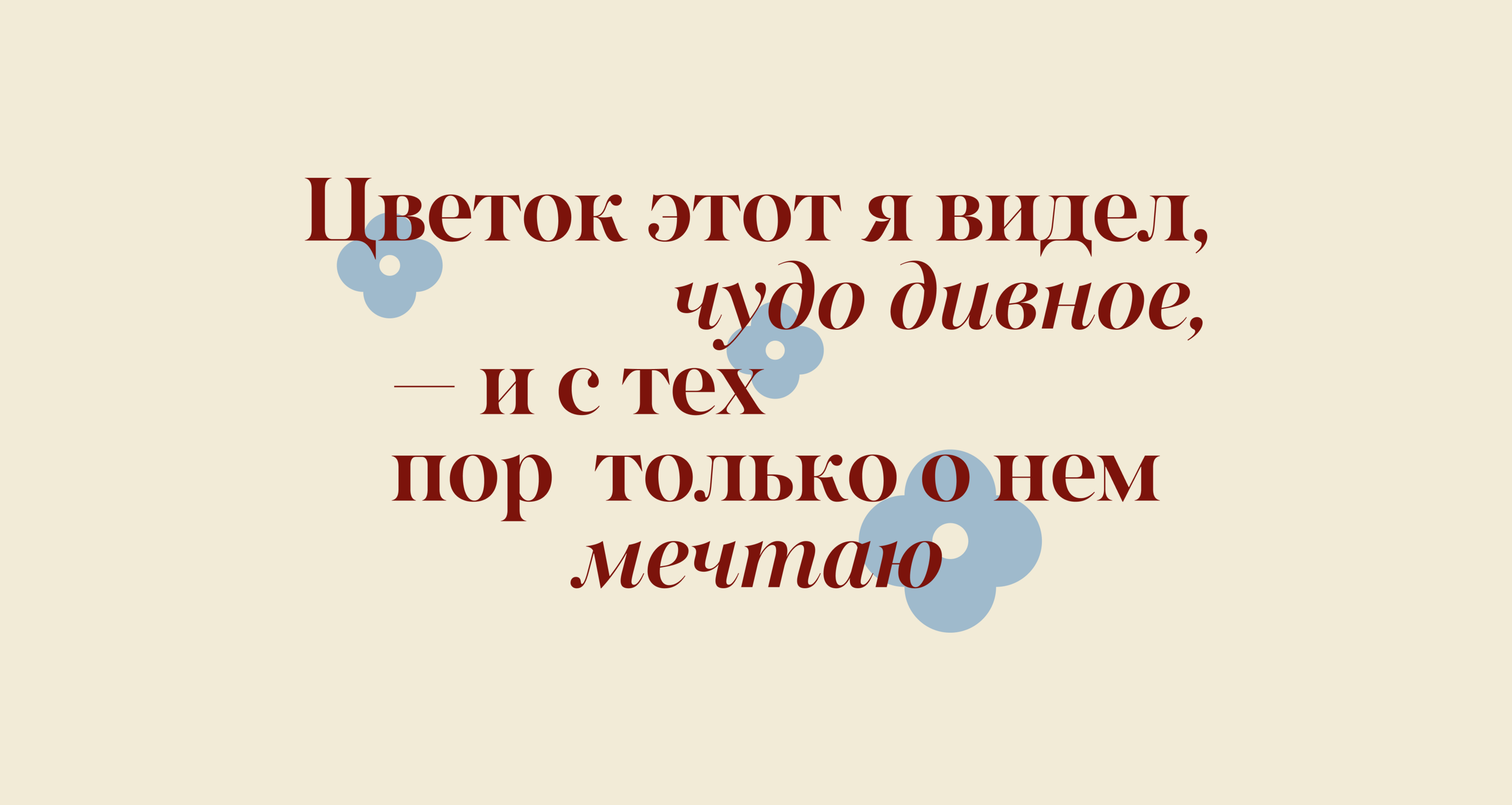 Диво / Брендинг / Цветочная студия — Изображение №18 — Брендинг, 3D на Dprofile
