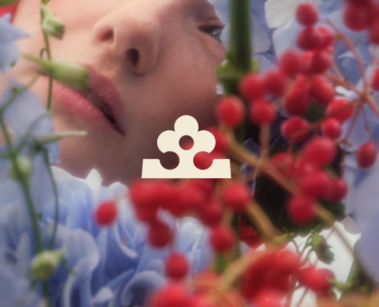 Диво / Брендинг / Цветочная студия — Брендинг, 3D на Dprofile