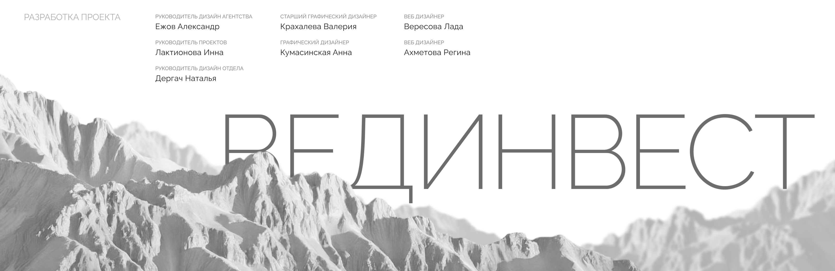 Вединвест |Веб сайт/Соц сети — Изображение №3 — Интерфейсы, Маркетинг на Dprofile